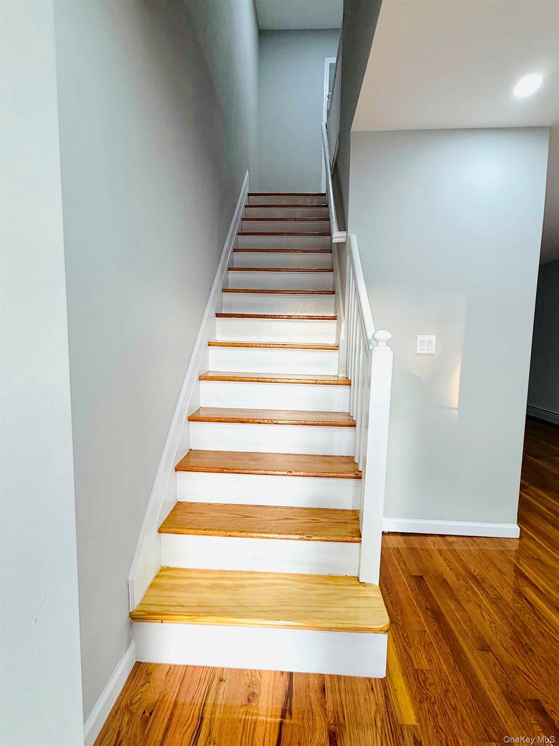 Single Family Bouck Avenue Bronx, NY 10469, MLS-1040489-21