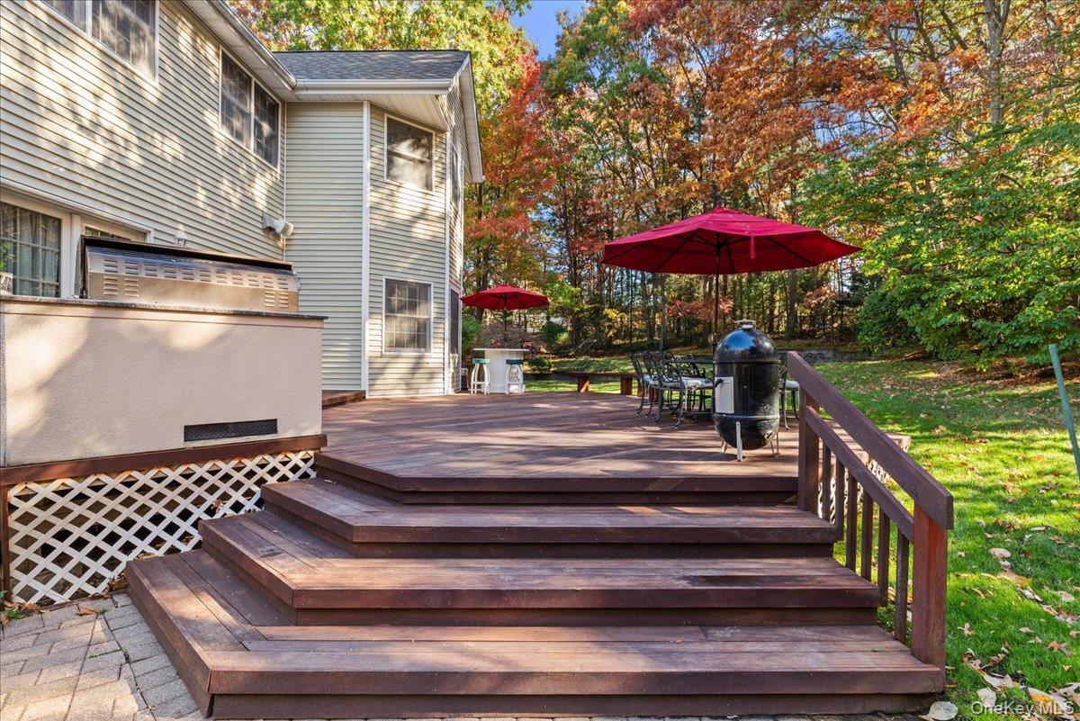 Single Family Washington Avenue Nassau County, NY 11803, MLS-1040523-41