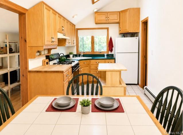 Single Family N Evergreen Drive  Suffolk County, NY 11784, MLS-1040537-7