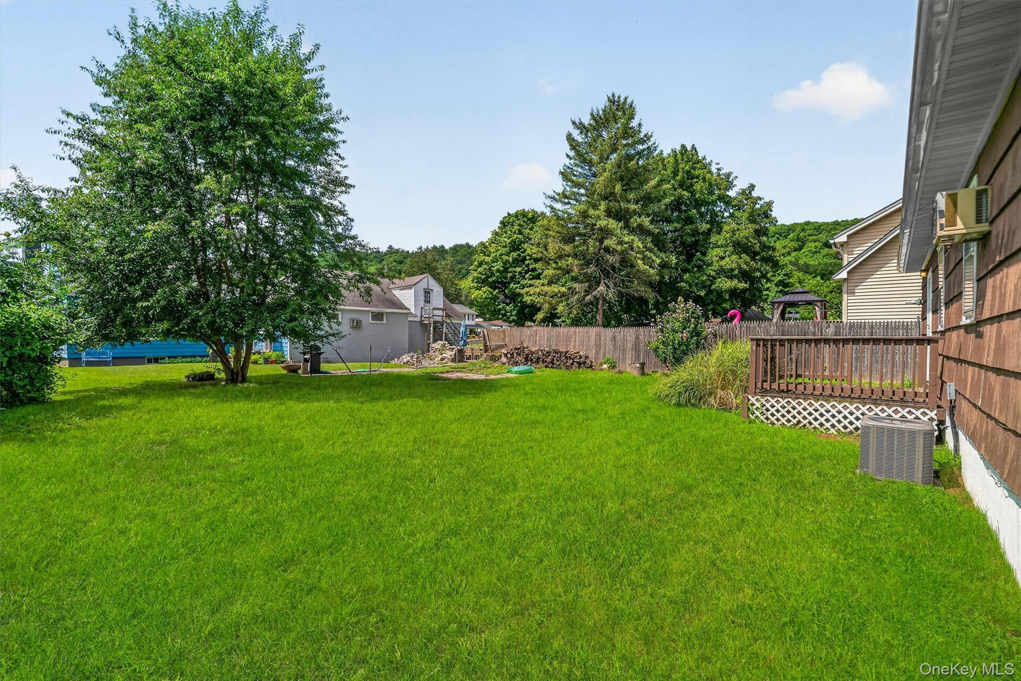 Single Family Ryan Street Orange County, NY 12771, MLS-1040548-23