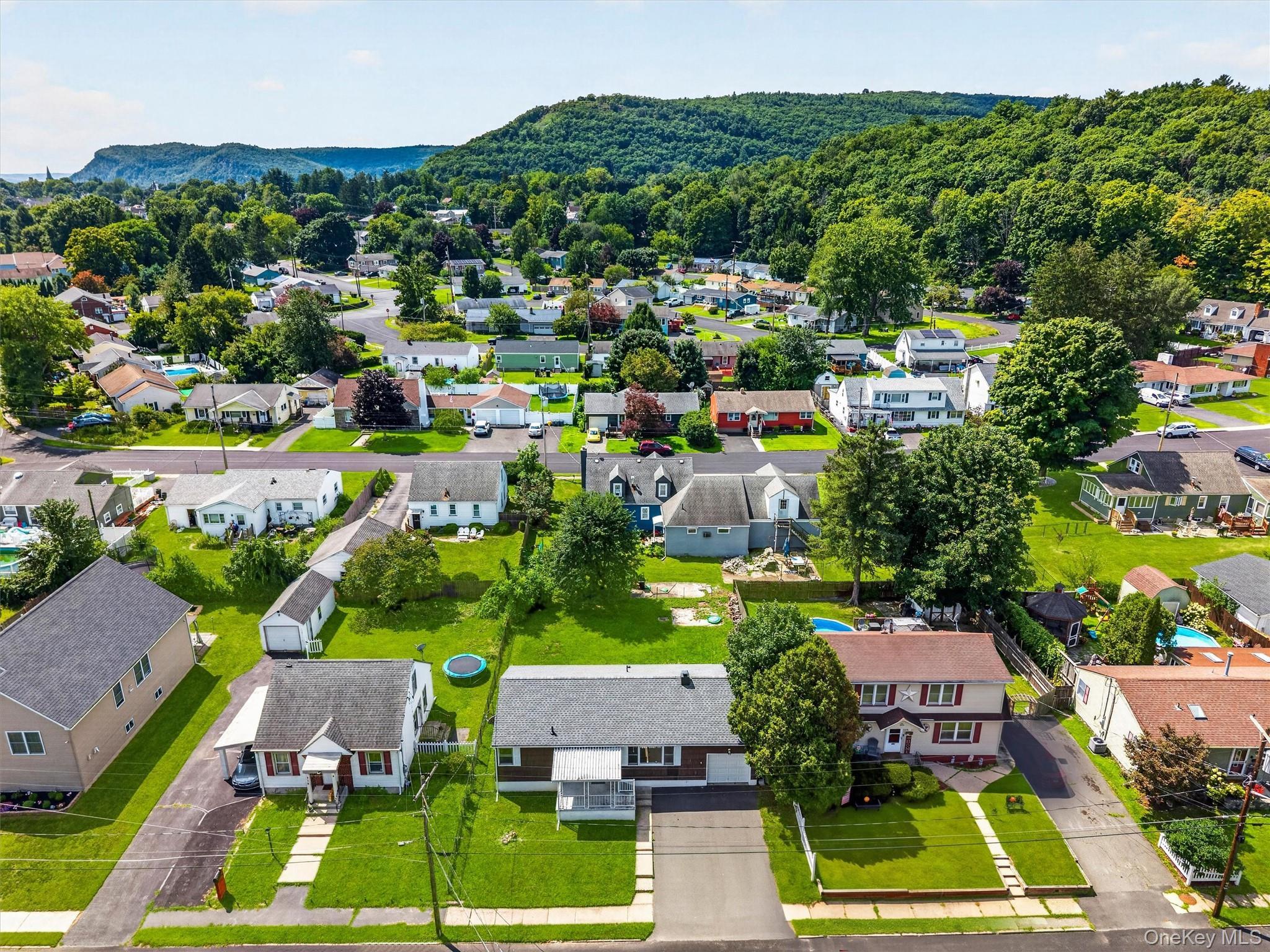 Single Family Ryan Street Orange County, NY 12771, MLS-1040548-30
