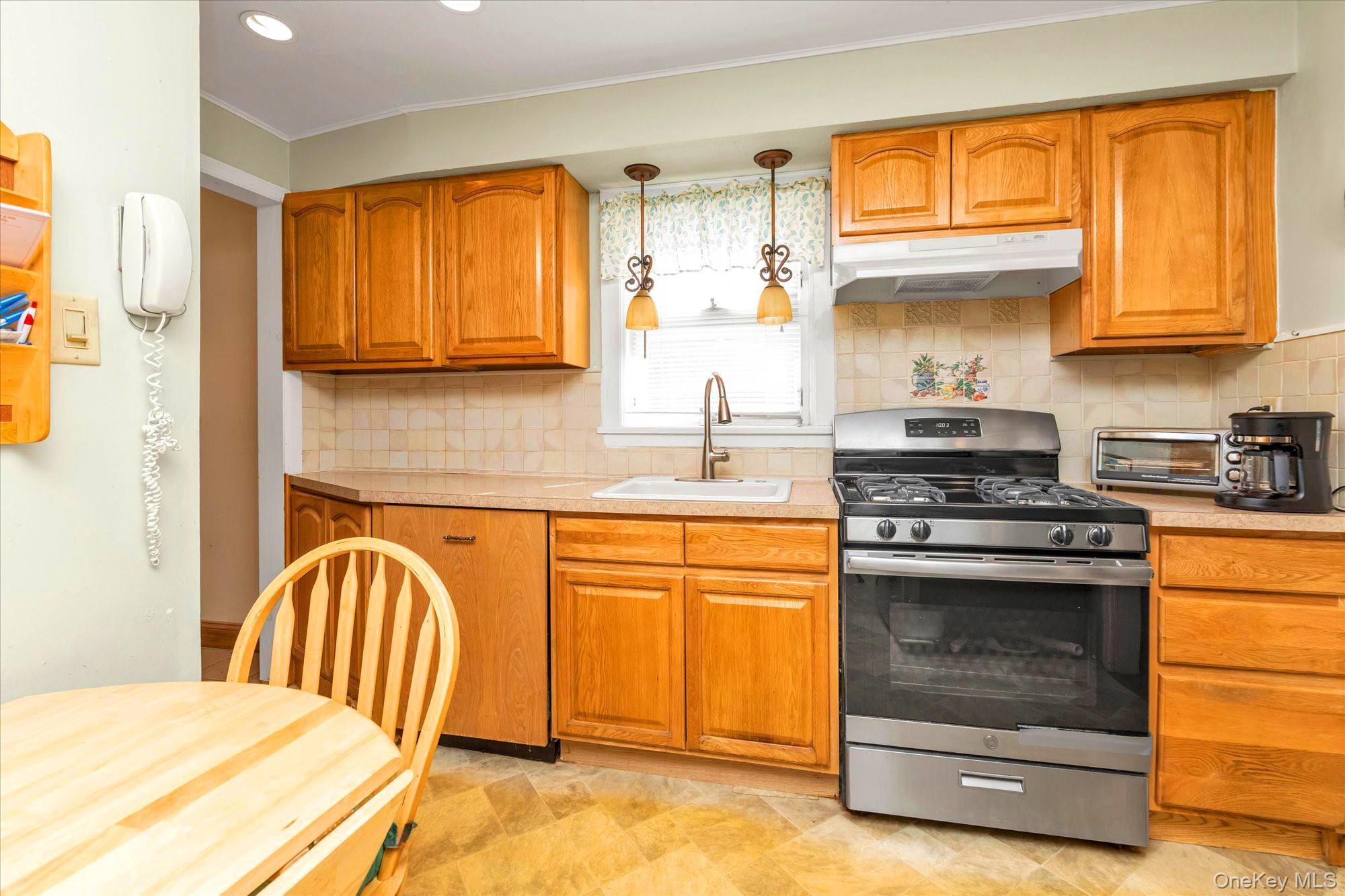 Single Family Schenck Avenue Nassau County, NY 11021, MLS-1040588-7