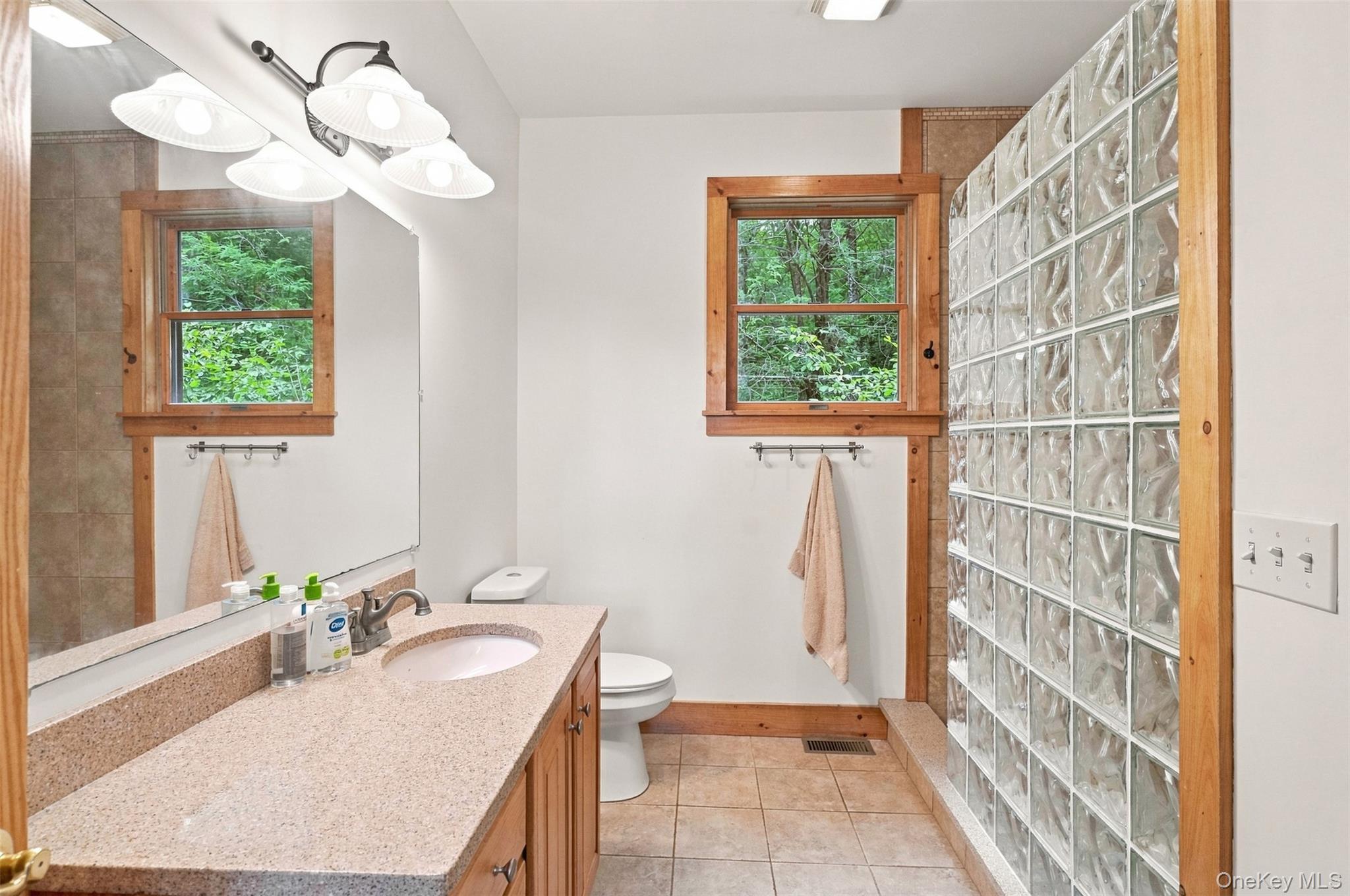 Single Family Devenoge Drive Sullivan County, NY 12743, MLS-1040598-27