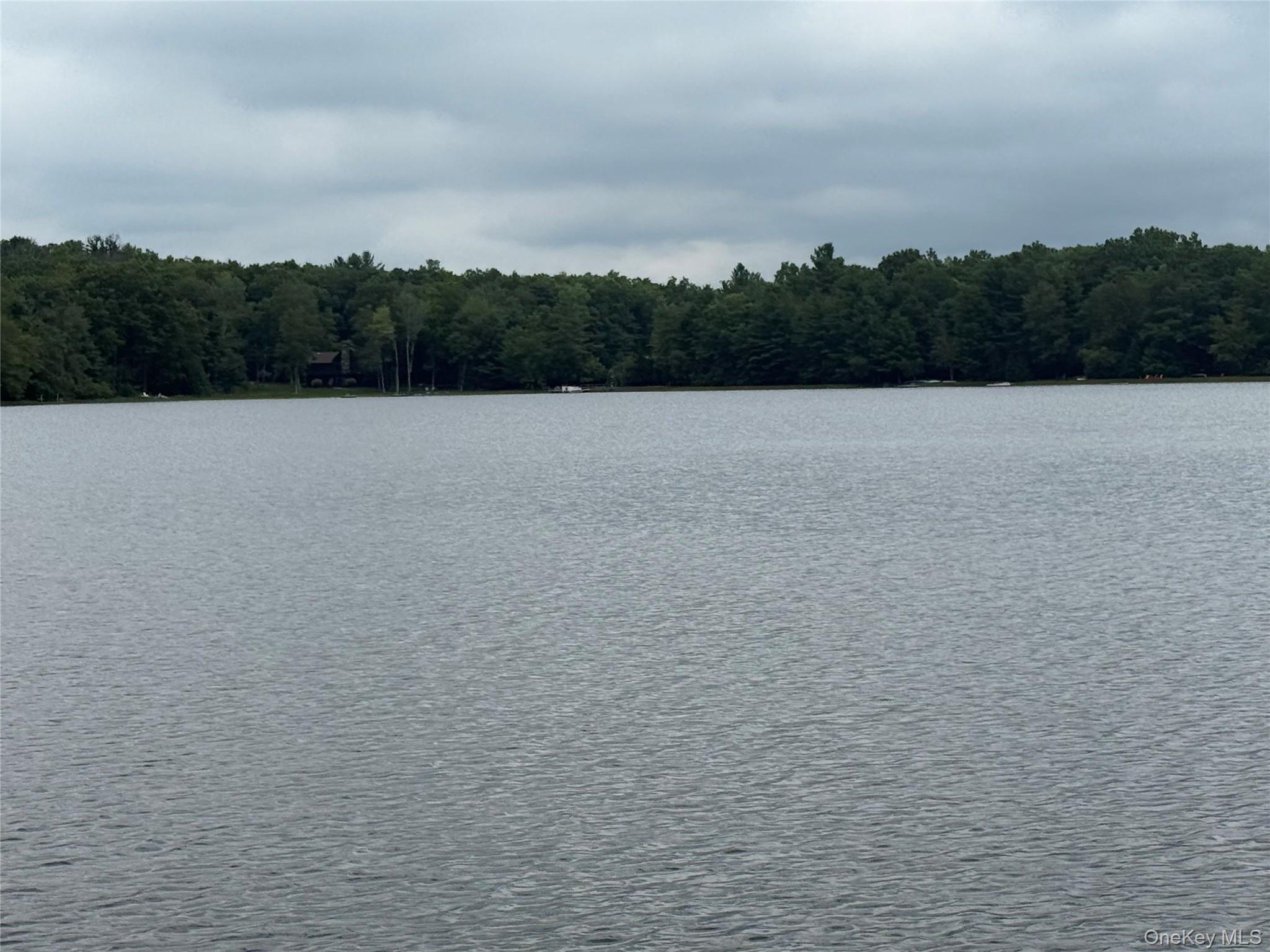 Single Family Devenoge Drive Sullivan County, NY 12743, MLS-1040598-3