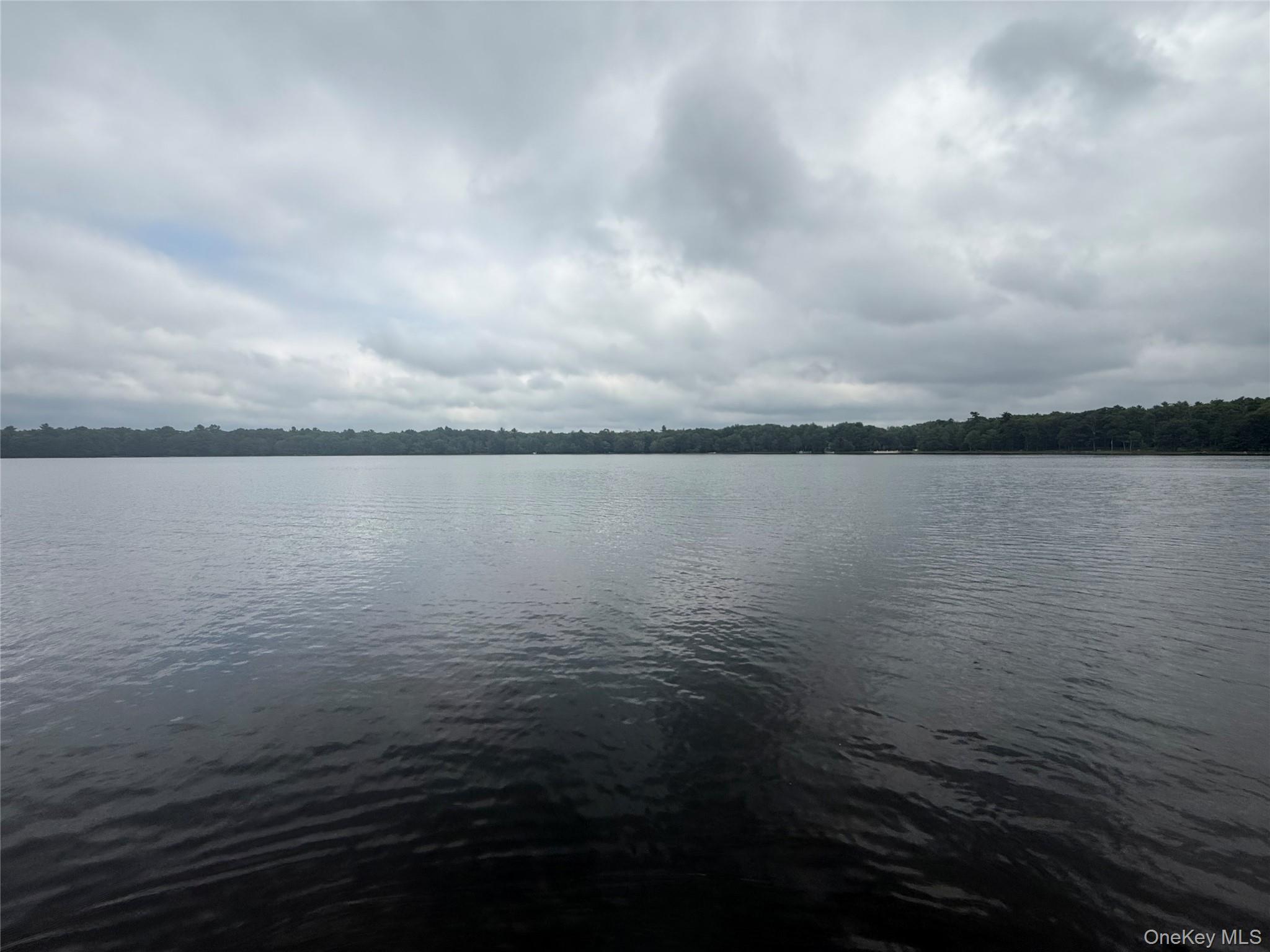Single Family Devenoge Drive  Sullivan County, NY 12743, MLS-1040598-46