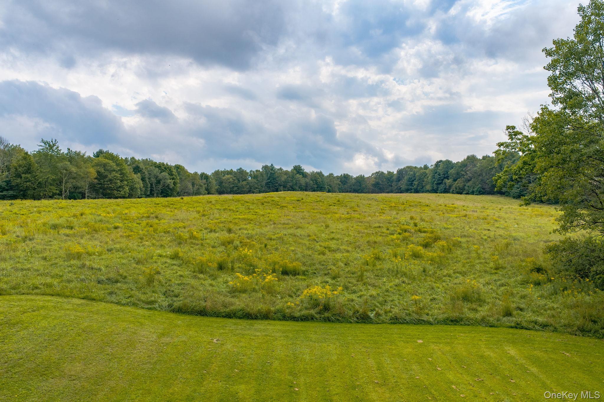 Single Family Bernas Road Sullivan County, NY 12726, MLS-1040633-28