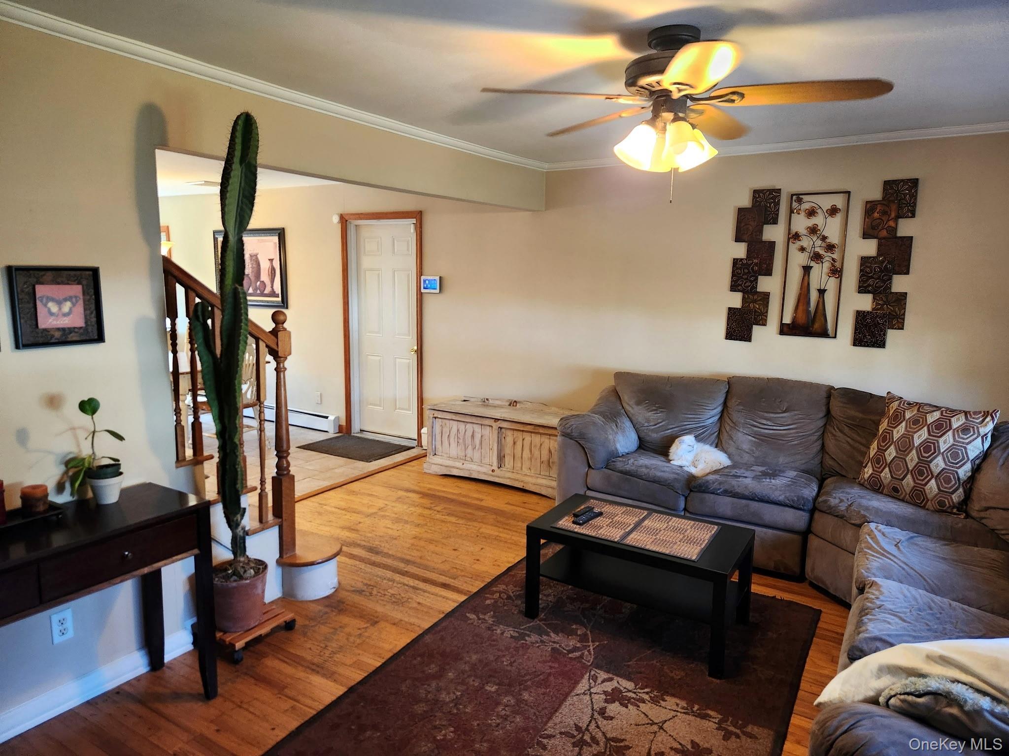 Single Family N Hamilton Avenue Suffolk County, NY 11757, MLS-1040655-3