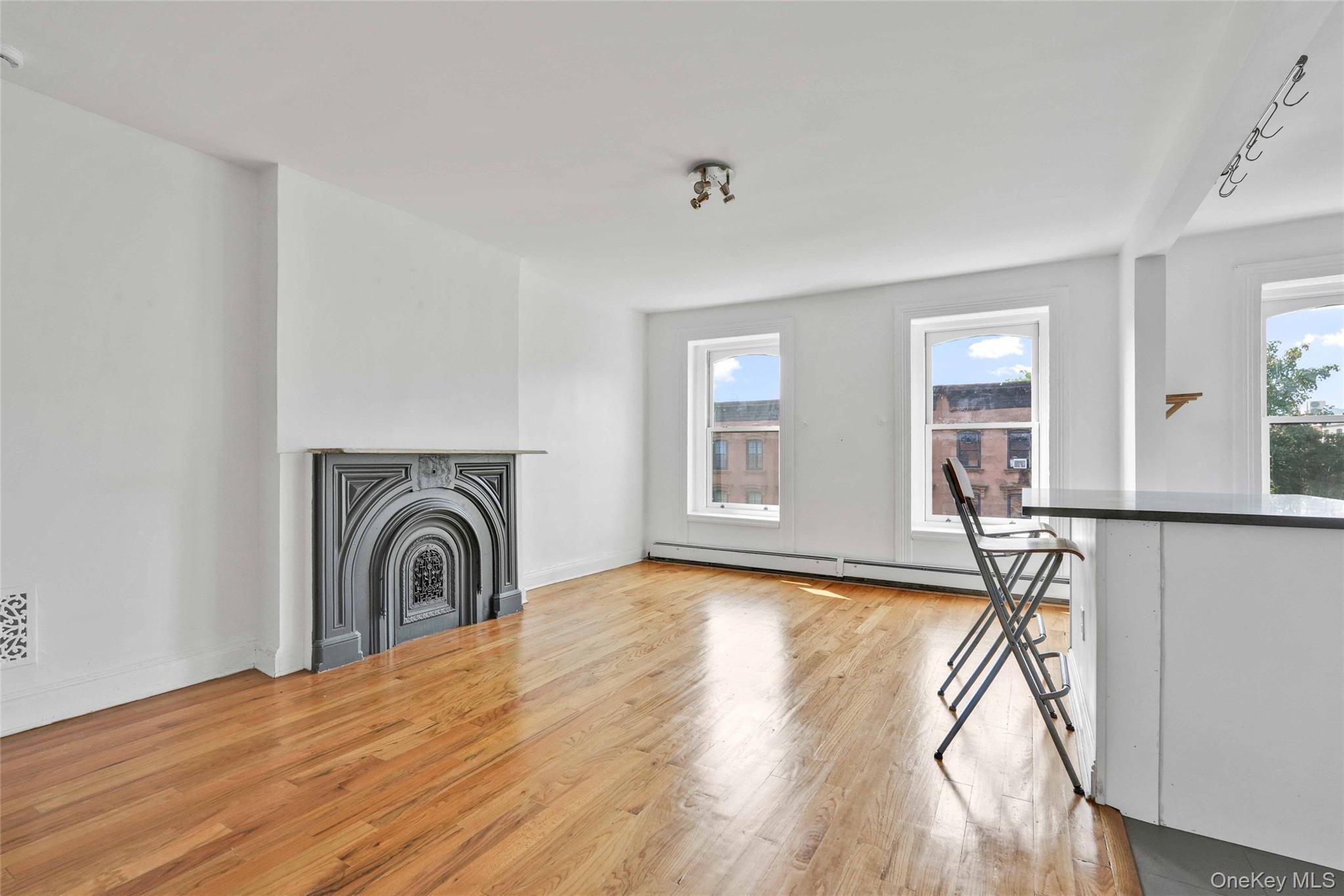 Single Family Greene Avenue Brooklyn, NY 11238, MLS-1040677-15