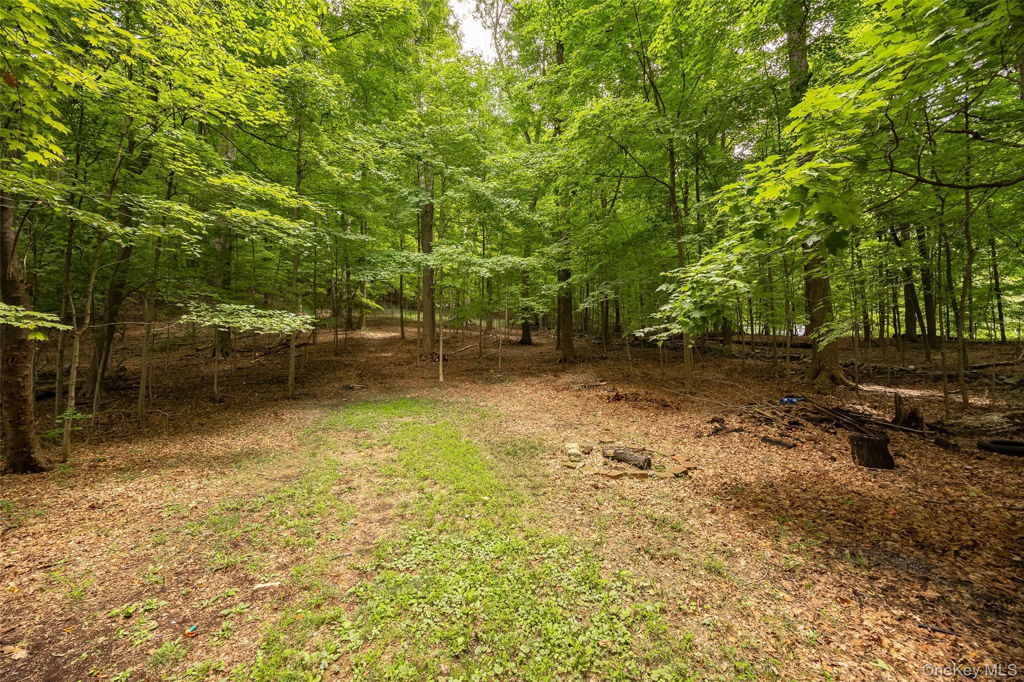Single Family Greenwood Drive Dutchess County, NY 12508, MLS-1040690-28