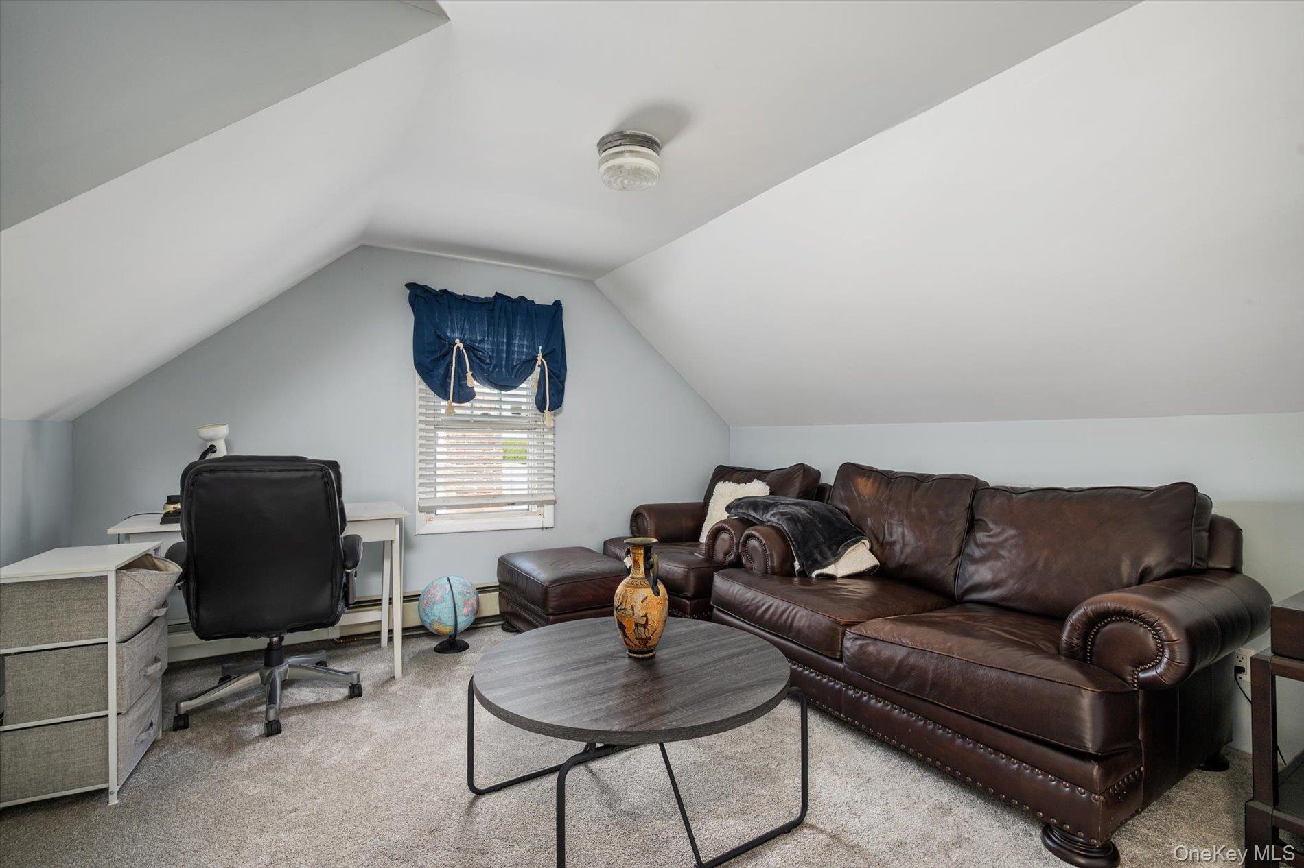 Single Family Brooklyn Avenue Nassau County, NY 11762, MLS-1040692-11