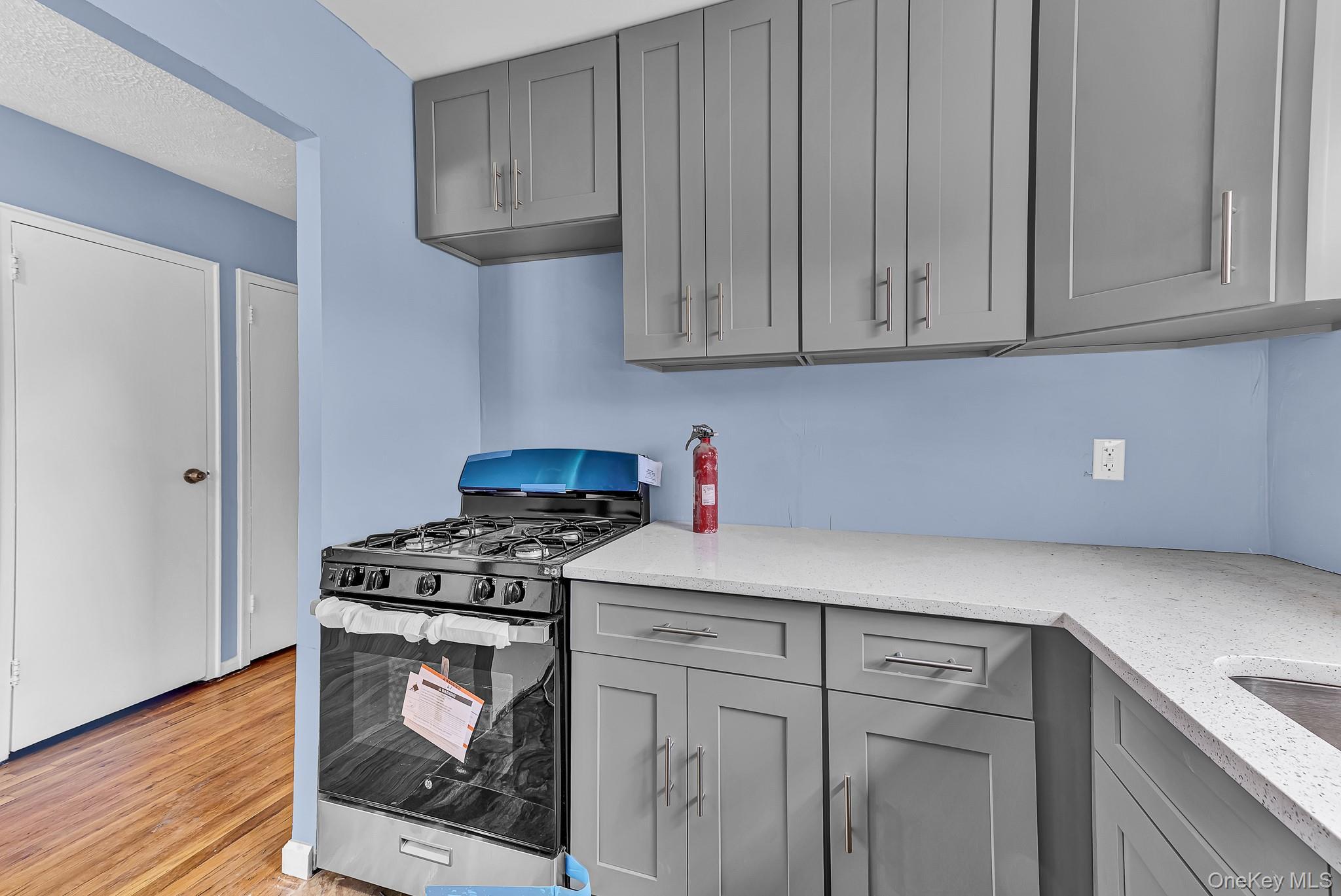Single Family Autumn Avenue  Brooklyn, NY 11208, MLS-1040727-25