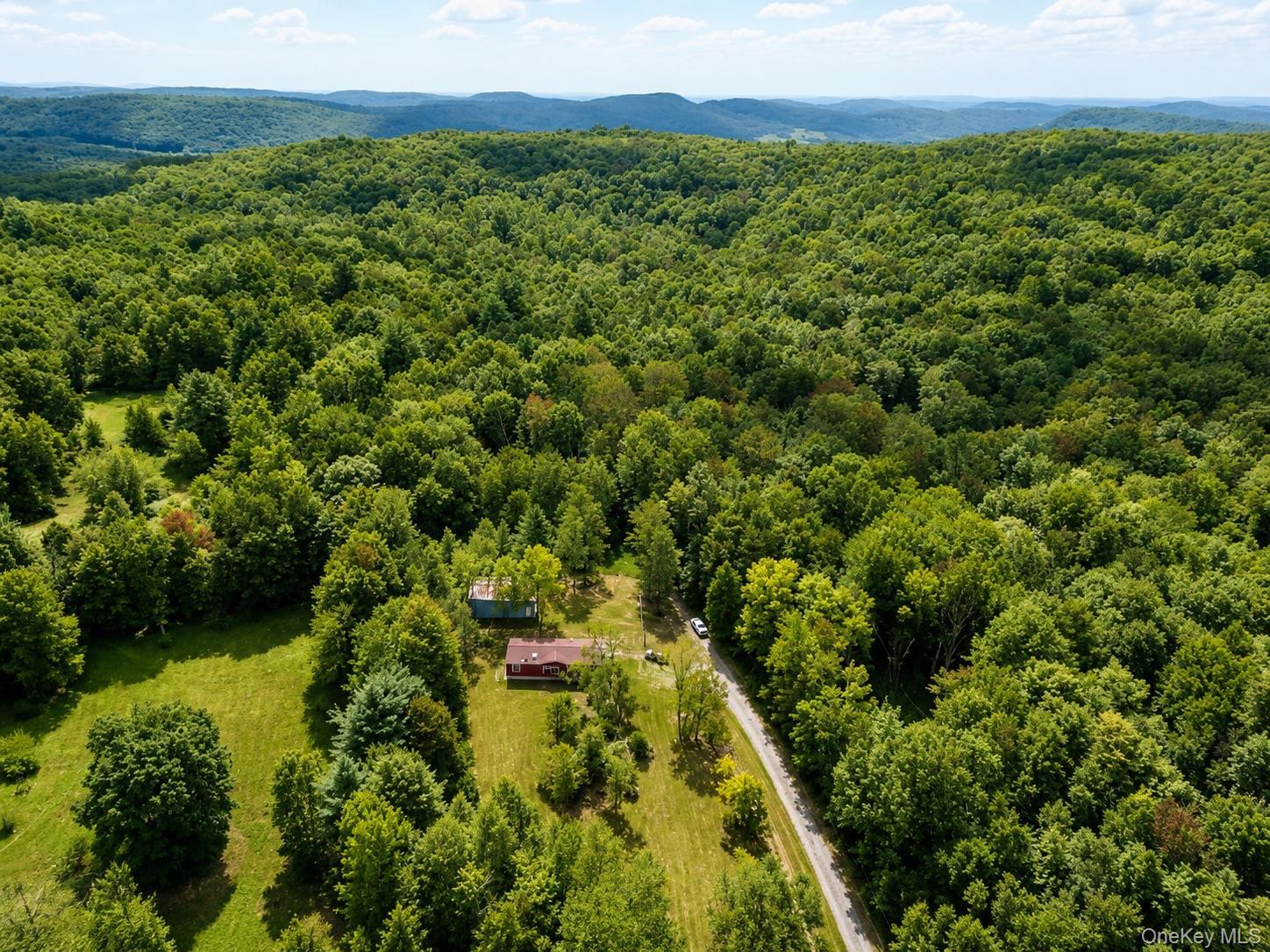 Single Family County Road 93 Sullivan County, NY 12776, MLS-1040732-23