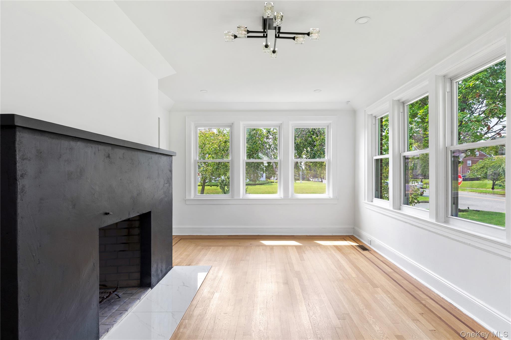 Single Family Pomander Road  Nassau County, NY 11501, MLS-1040739-6