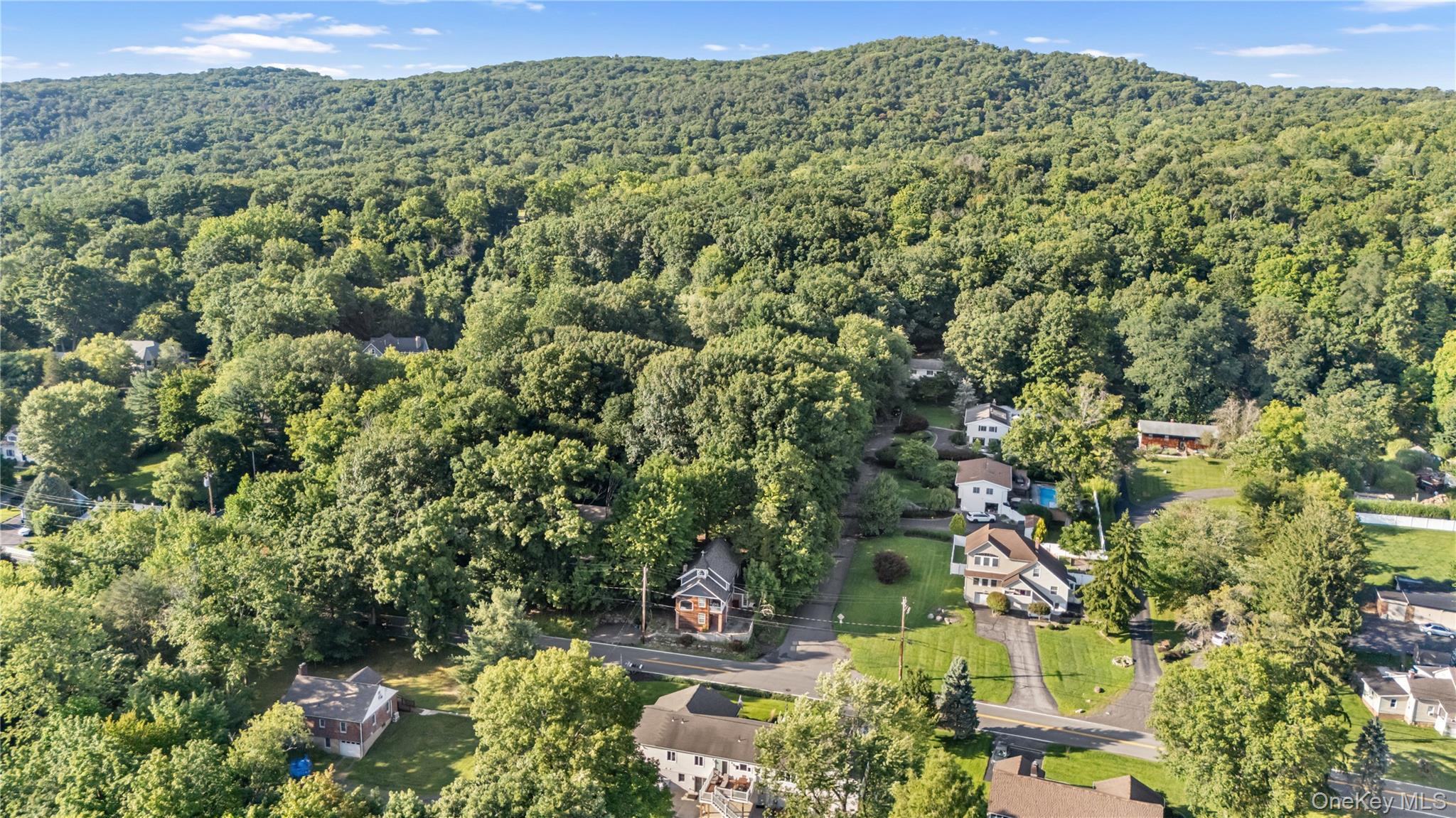Single Family S Mountain Road Rockland County, NY 10956, MLS-1040761-30