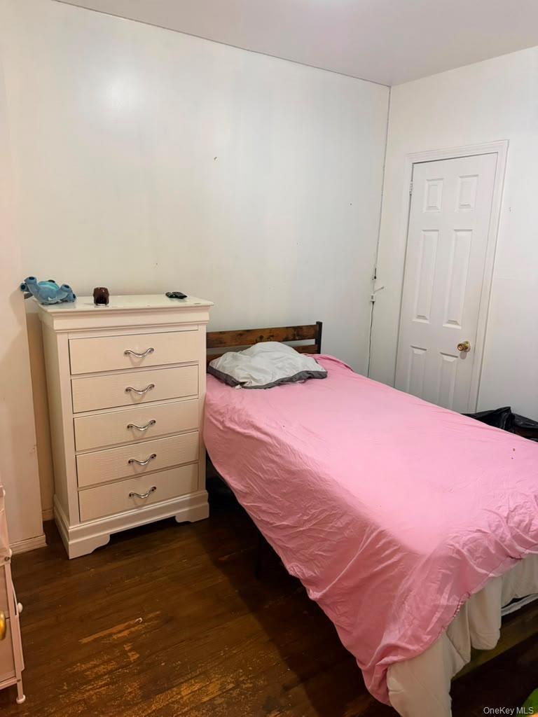 Single Family Louisiana Avenue Brooklyn, NY 11207, MLS-1040781-4