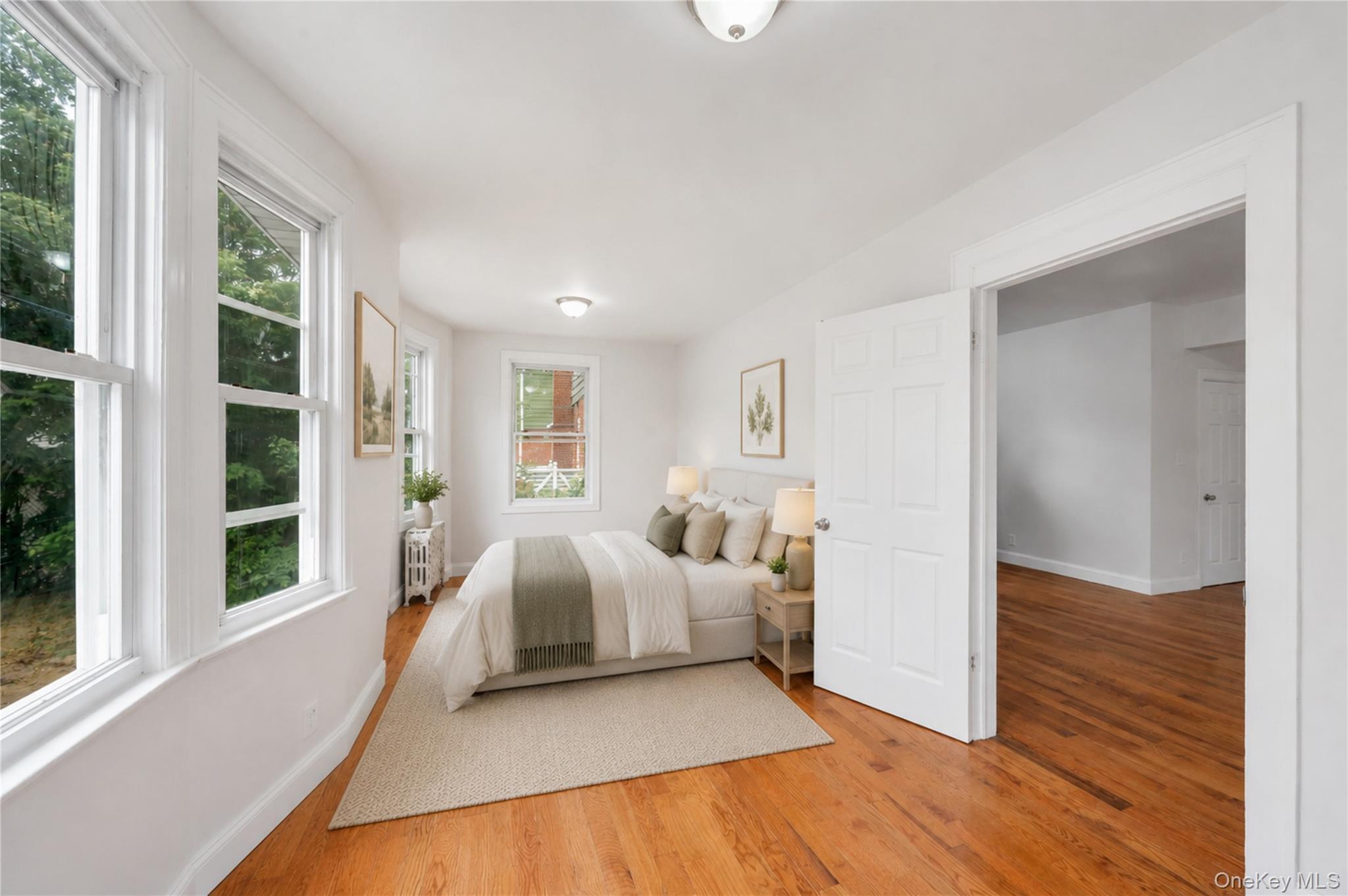Single Family 202nd Street Queens, NY 11412, MLS-1040784-20