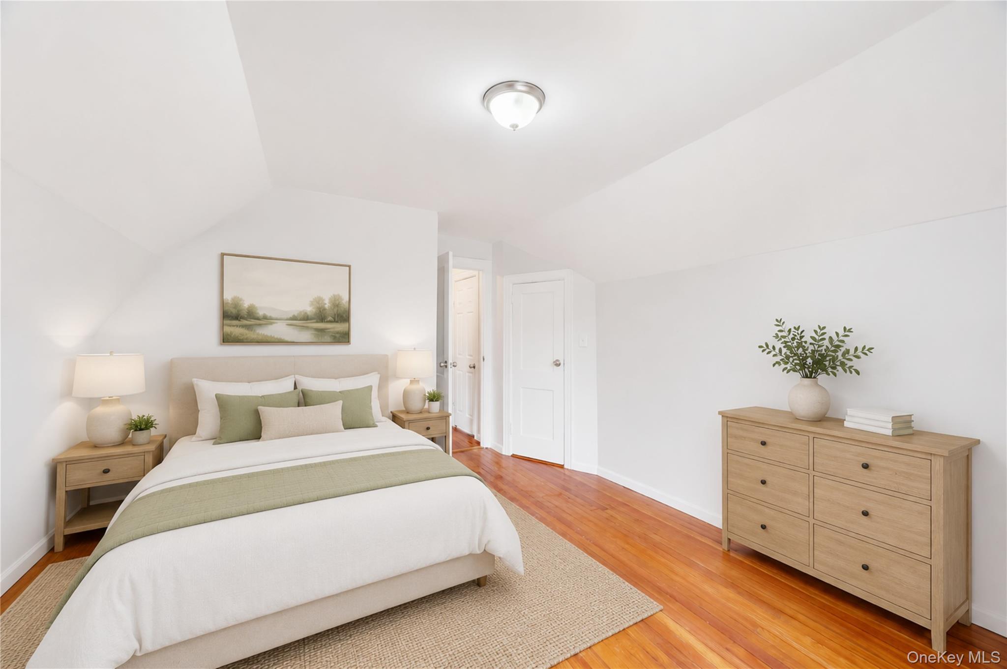 Single Family 202nd Street Queens, NY 11412, MLS-1040784-21