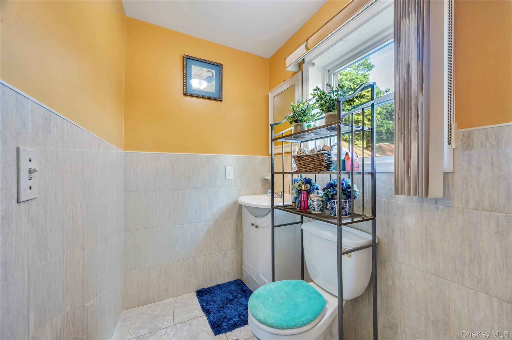 Single Family 107th Avenue Queens, NY 11429, MLS-1040790-13