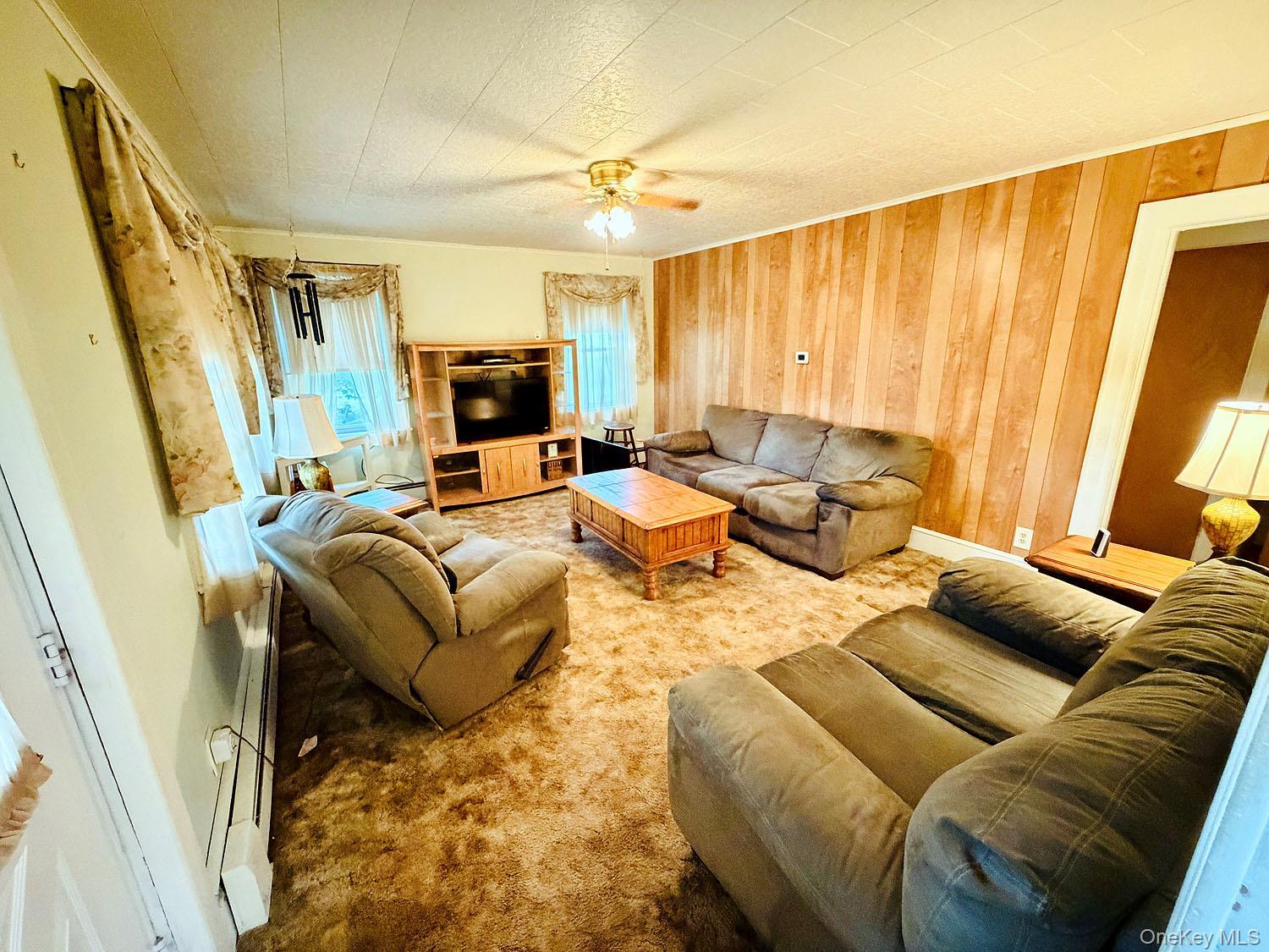 Single Family County Road 95 Sullivan County, NY 12766, MLS-1040797-8