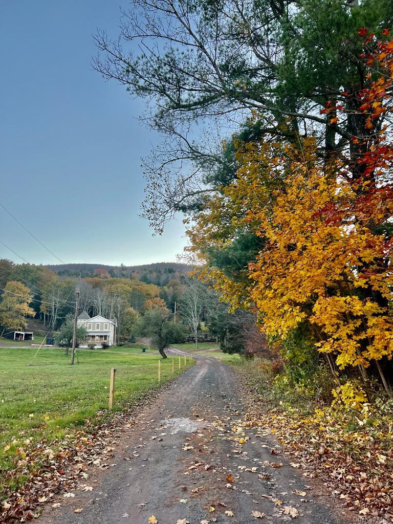 Single Family State Route 296 Greene County, NY 12496, MLS-1040802-35