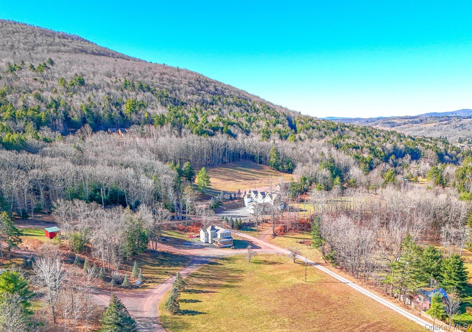 Single Family State Route 296 Greene County, NY 12496, MLS-1040802-36
