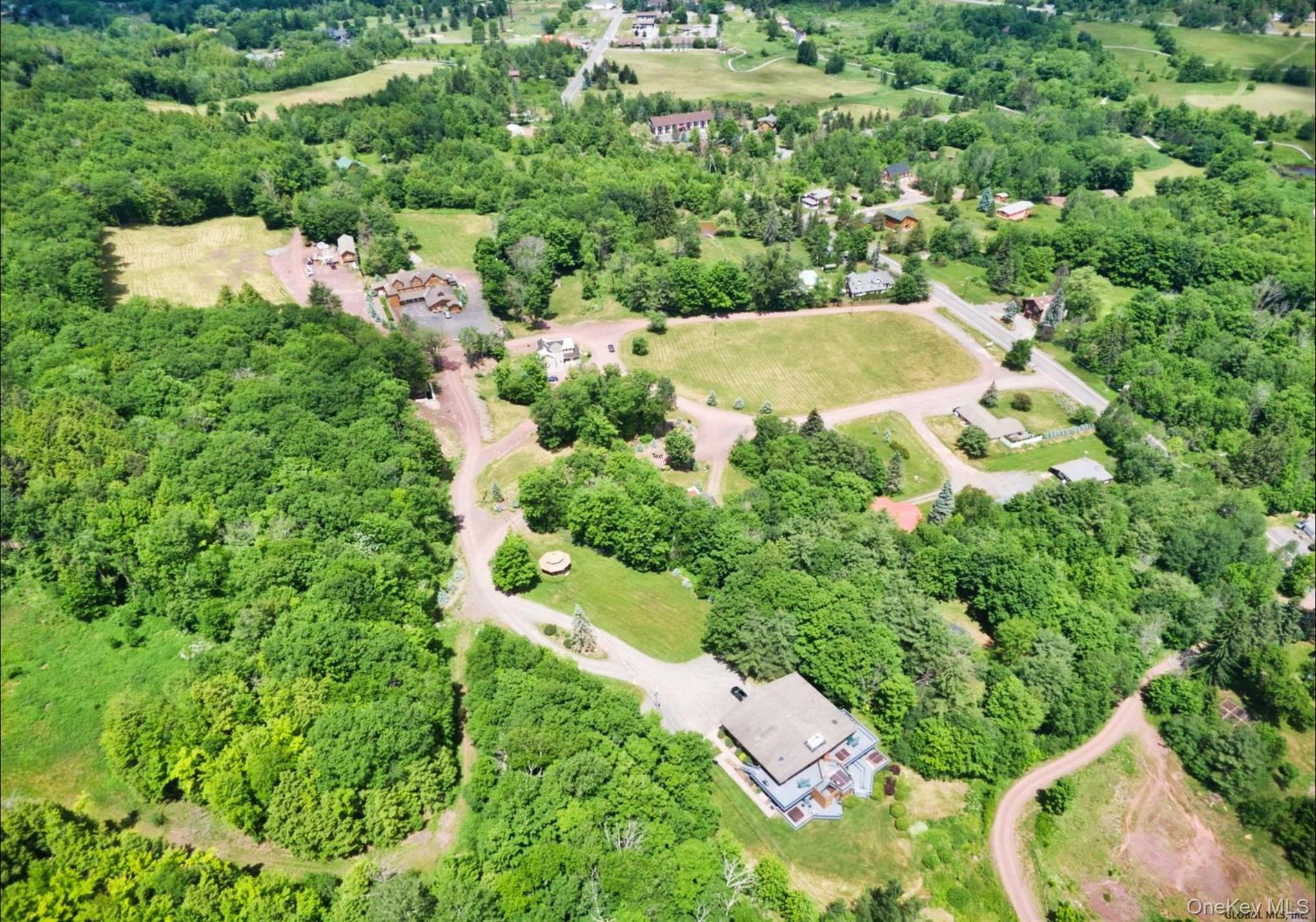 Single Family State Route 296 Greene County, NY 12496, MLS-1040802-38