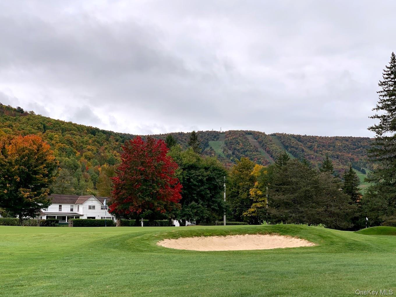 Single Family State Route 296 Greene County, NY 12496, MLS-1040802-45
