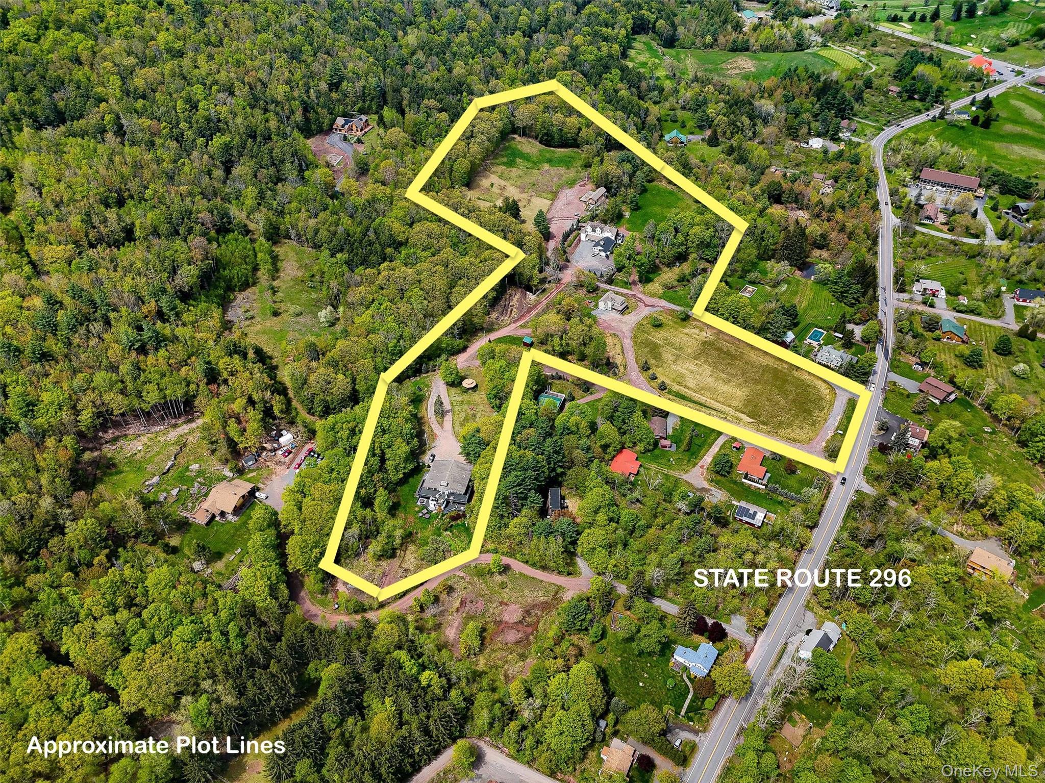 Single Family State Route 296  Greene County, NY 12496, MLS-1040802-47