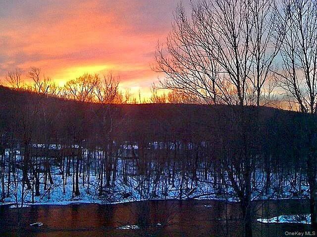 Single Family State Route 42  Sullivan County, NY 12788, MLS-1040808-13