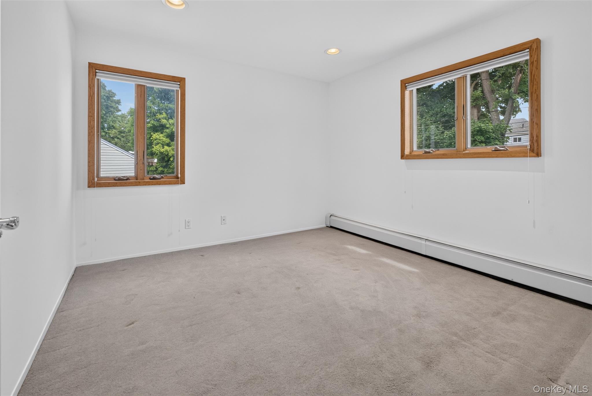 Single Family Briarwood Lane Nassau County, NY 11803, MLS-1040816-11