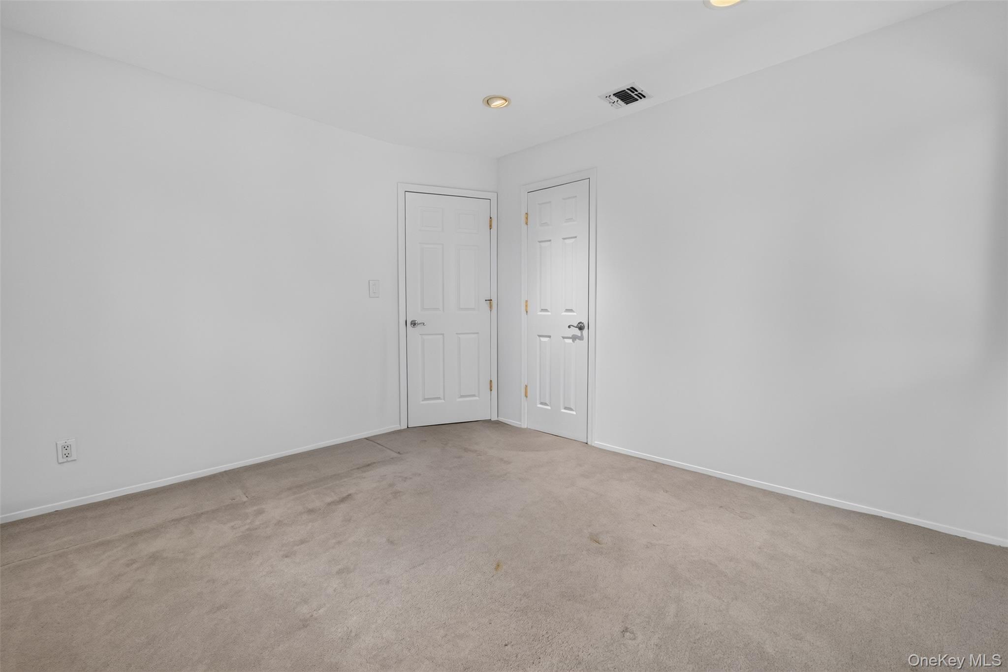 Single Family Briarwood Lane Nassau County, NY 11803, MLS-1040816-13