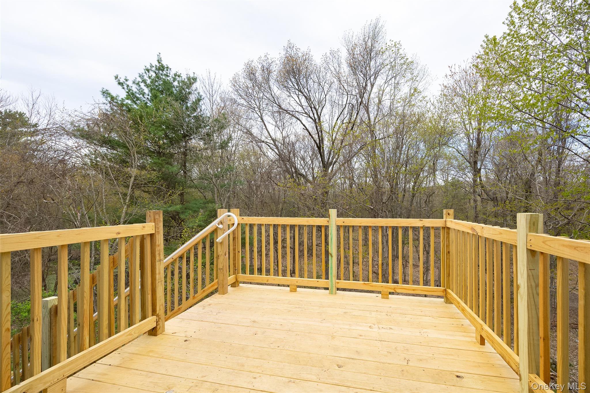 Single Family Weaver Road  Columbia County, NY 12523, MLS-1040822-19