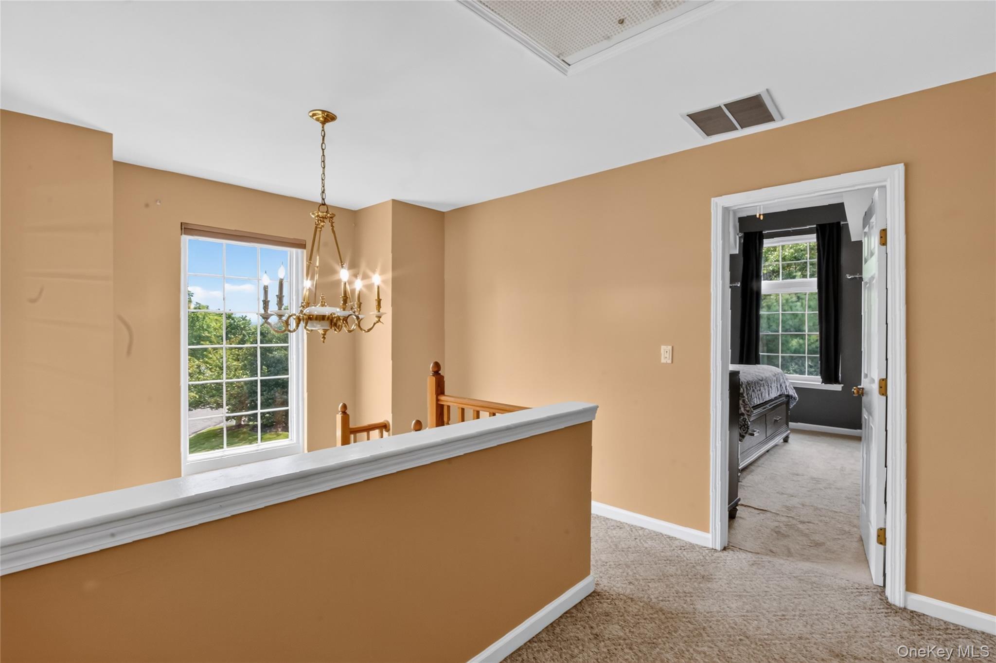 Single Family Delafield Lane  Orange County, NY 12550, MLS-1040879-19