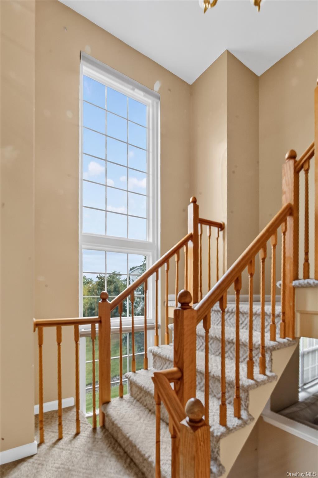 Single Family Delafield Lane  Orange County, NY 12550, MLS-1040879-4