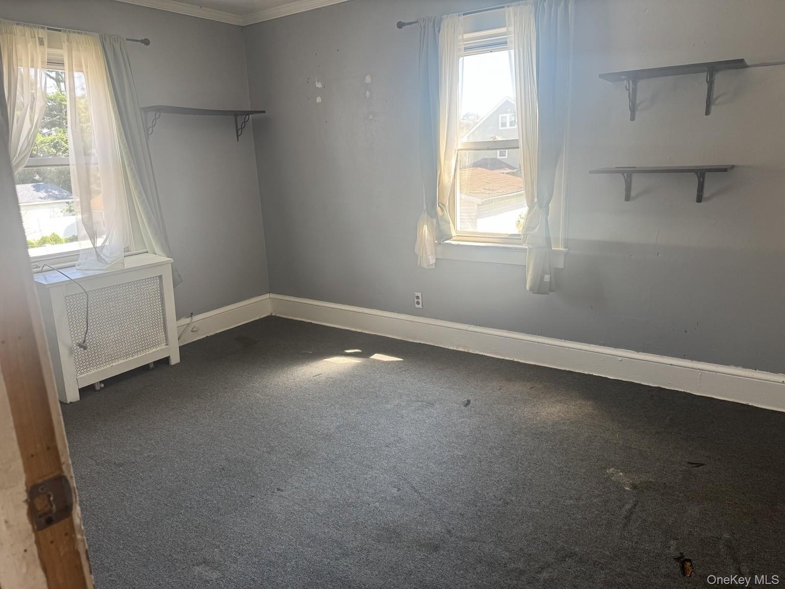Single Family Leonard Avenue Nassau County, NY 11520, MLS-1040888-11