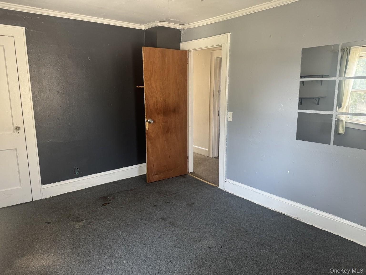 Single Family Leonard Avenue Nassau County, NY 11520, MLS-1040888-12