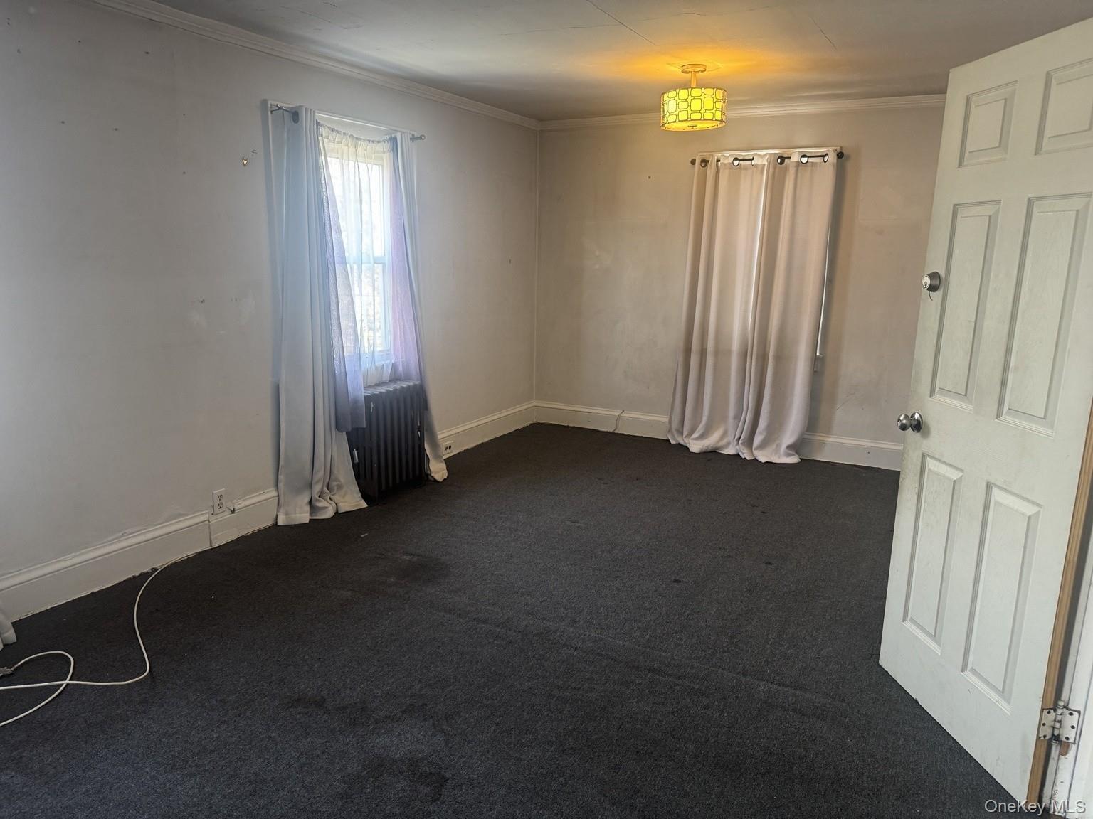 Single Family Leonard Avenue Nassau County, NY 11520, MLS-1040888-13