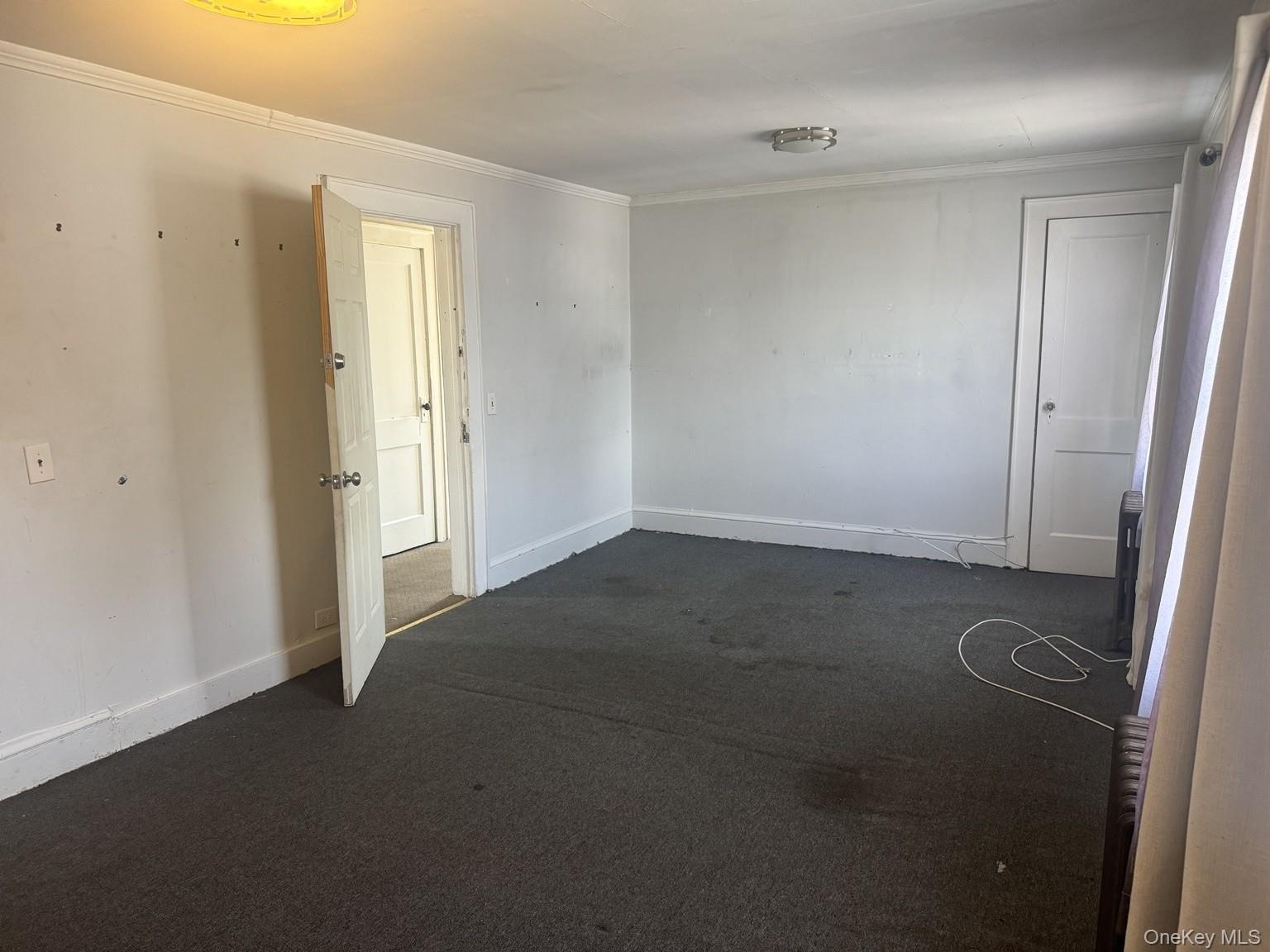 Single Family Leonard Avenue Nassau County, NY 11520, MLS-1040888-14
