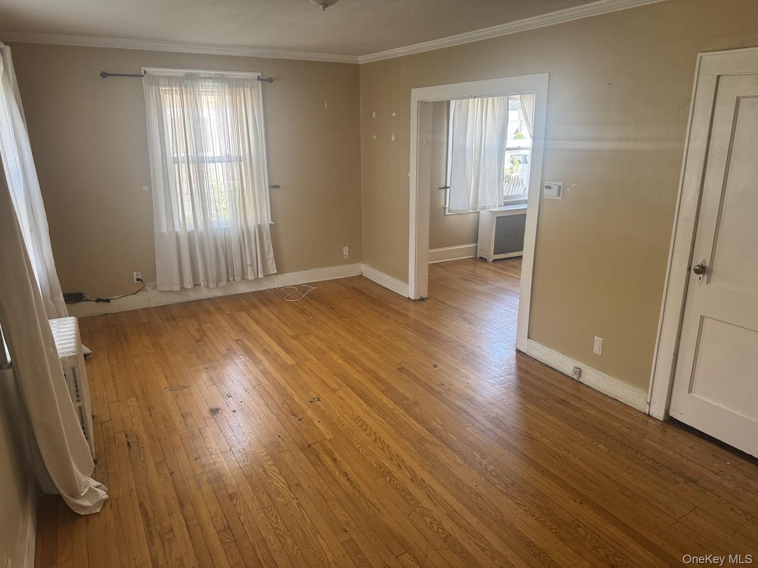 Single Family Leonard Avenue Nassau County, NY 11520, MLS-1040888-3