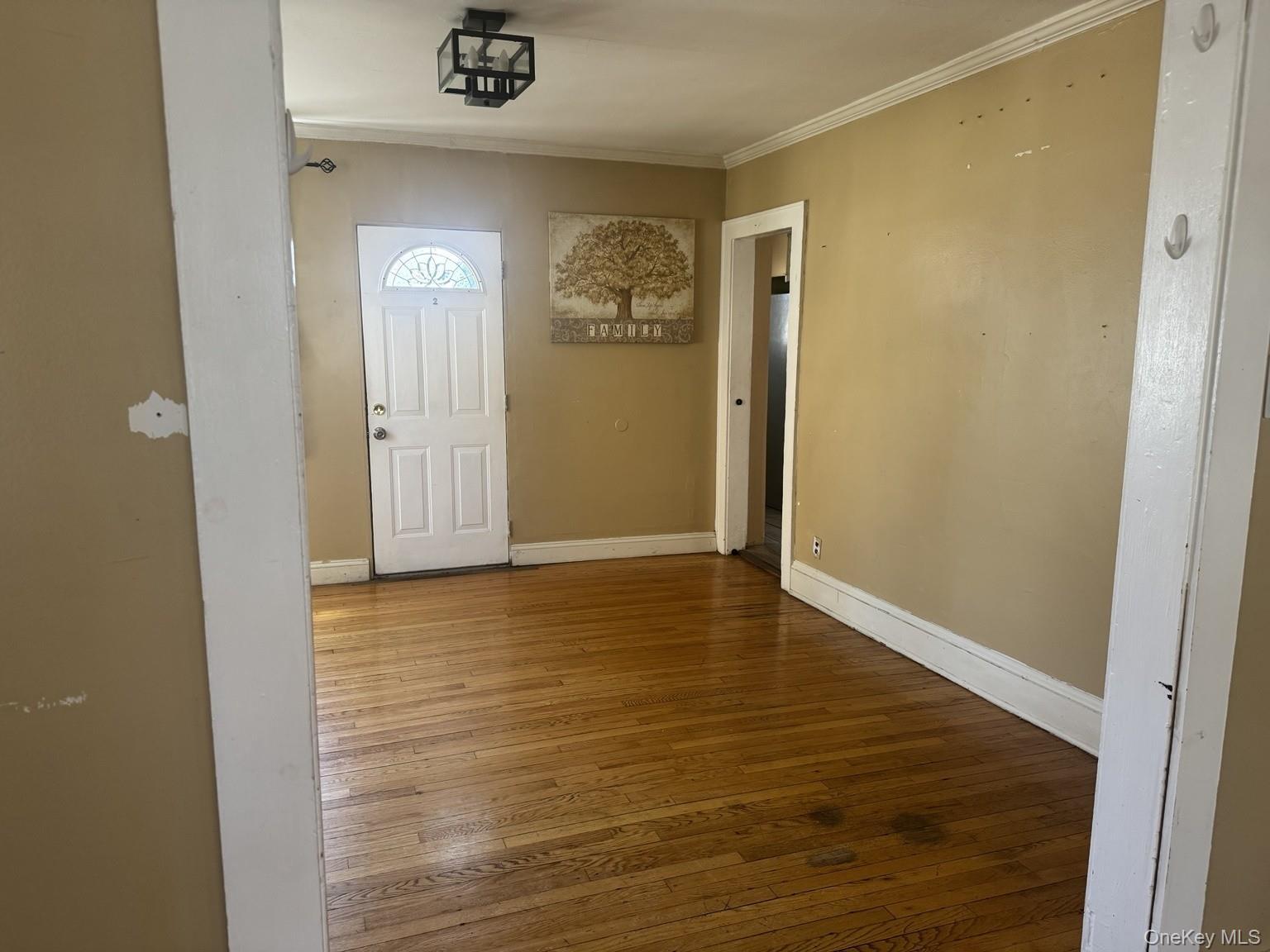 Single Family Leonard Avenue Nassau County, NY 11520, MLS-1040888-4