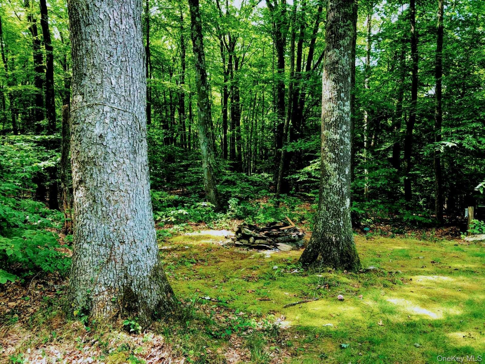Single Family Old East Road Ulster County, NY 12589, MLS-1040895-33