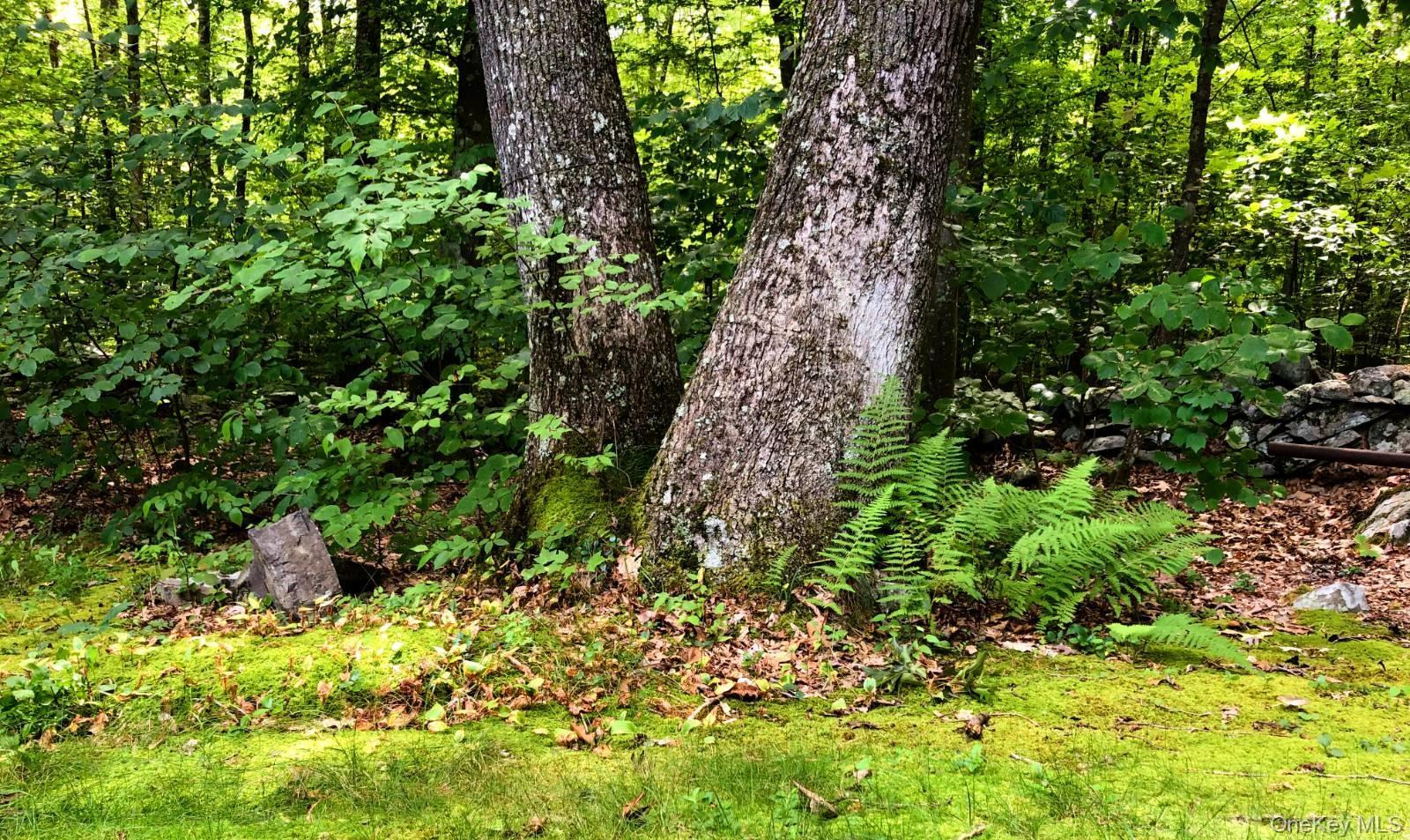 Single Family Old East Road Ulster County, NY 12589, MLS-1040895-9