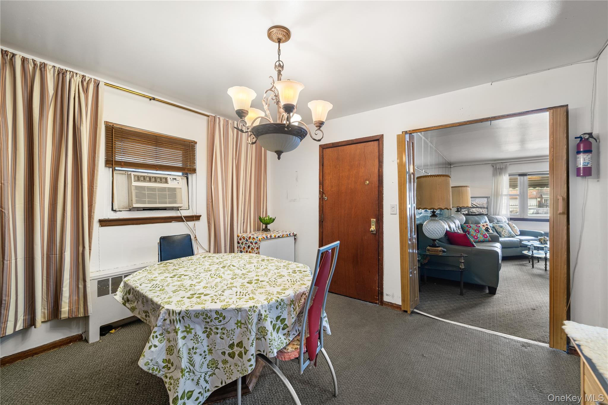 Single Family Wilder Avenue  Bronx, NY 10466, MLS-1040896-12