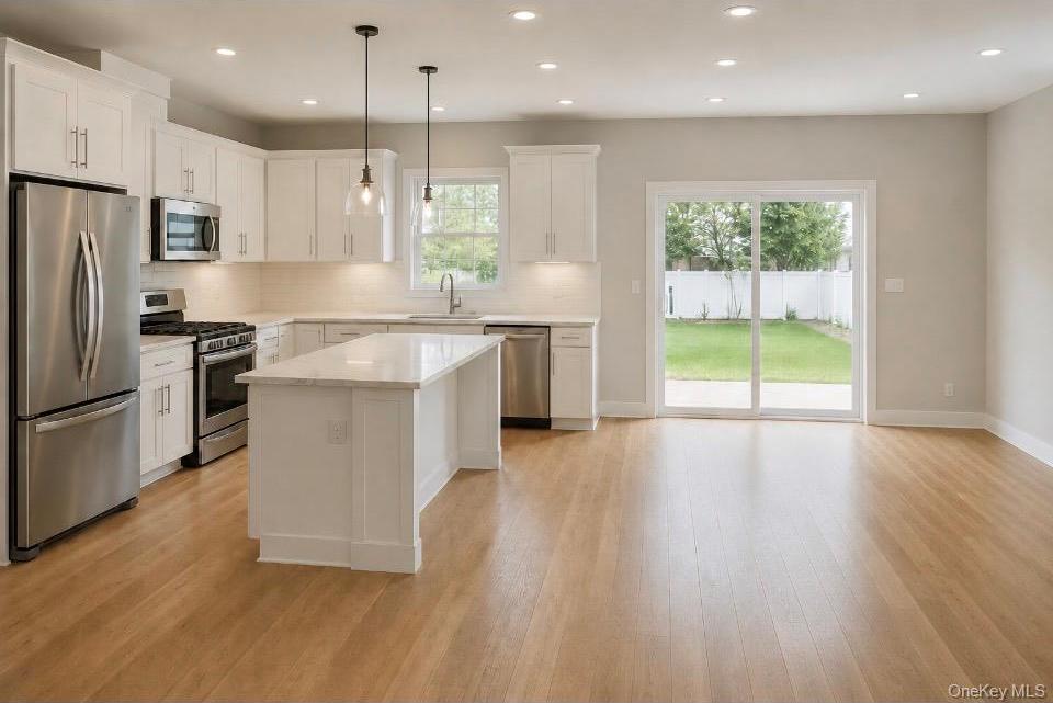 Single Family Bedford Street Suffolk County, NY 11798, MLS-1040989-3