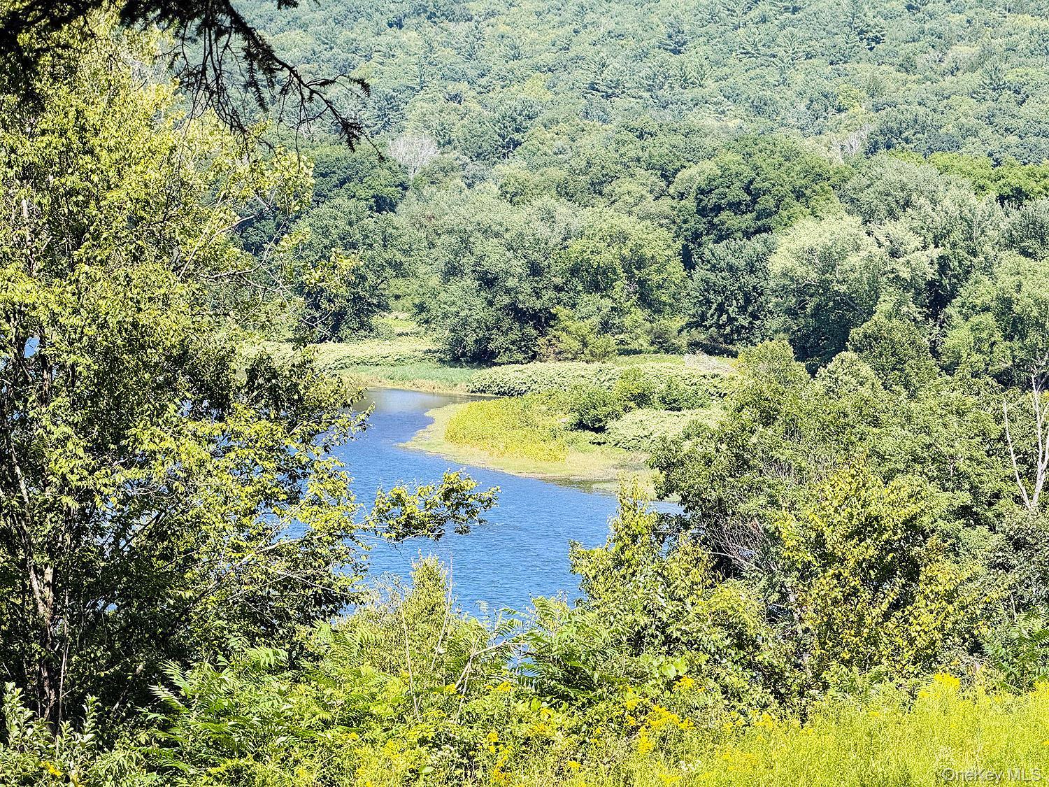 Single Family County Road 114  Sullivan County, NY 12726, MLS-1041007-33