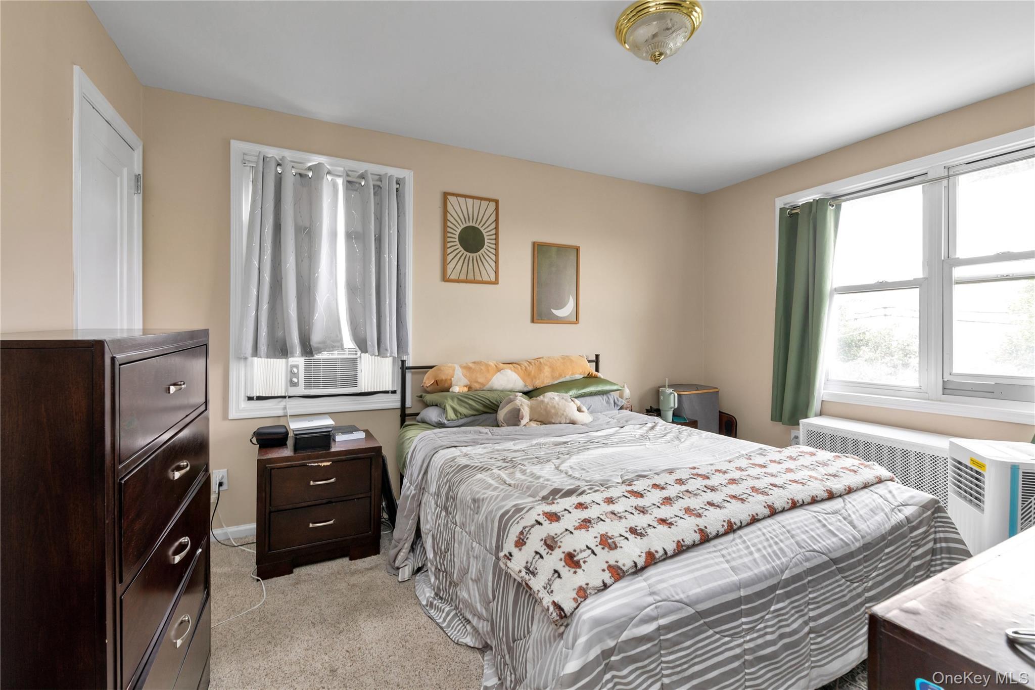 Single Family Liberty Avenue Nassau County, NY 11501, MLS-1041041-13