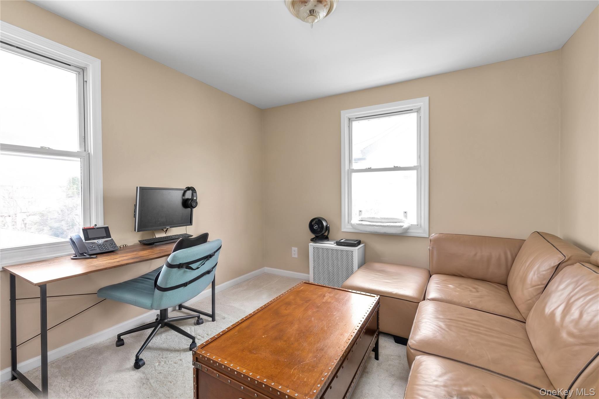Single Family Liberty Avenue Nassau County, NY 11501, MLS-1041041-14