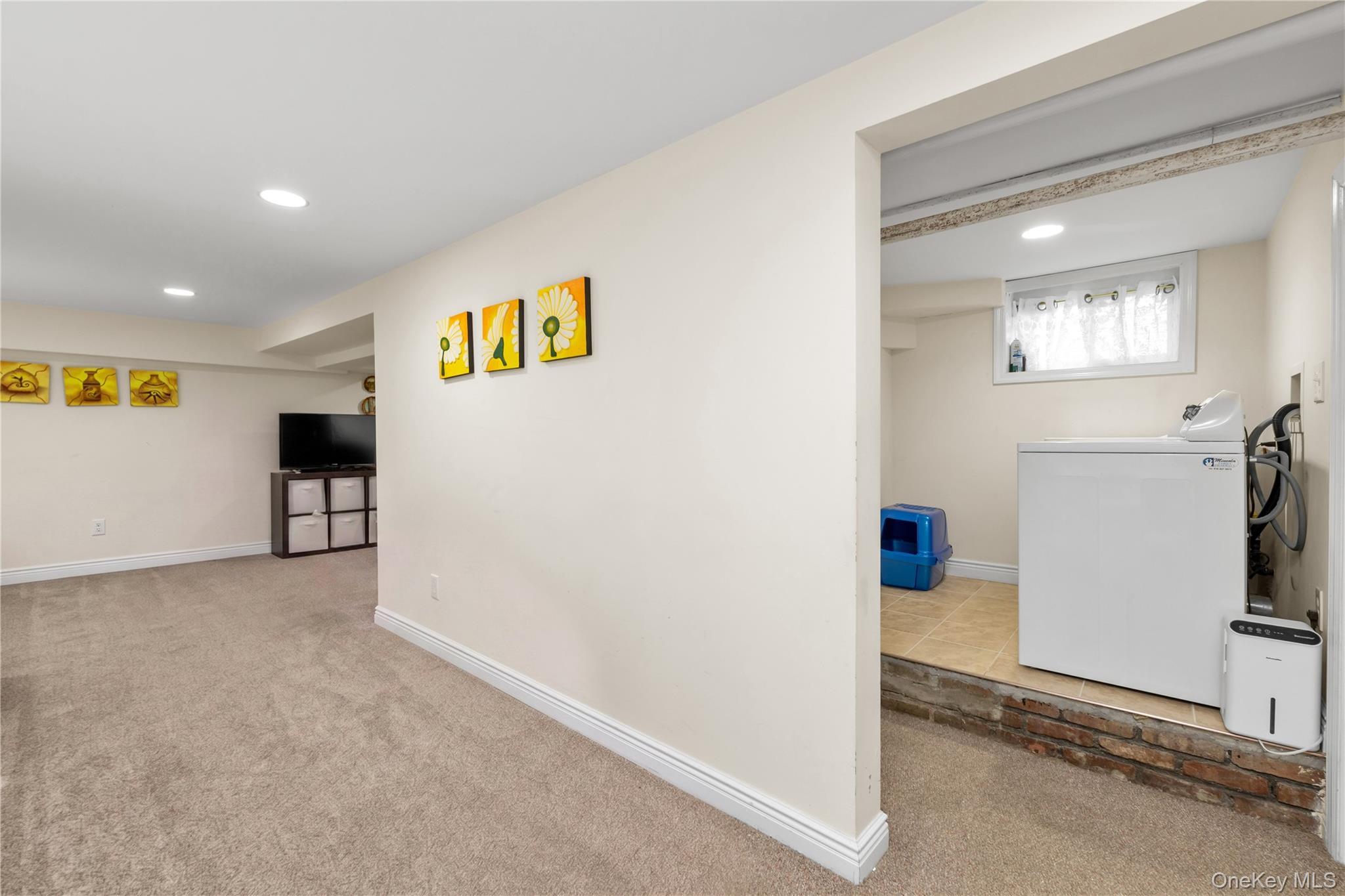 Single Family Liberty Avenue Nassau County, NY 11501, MLS-1041041-17