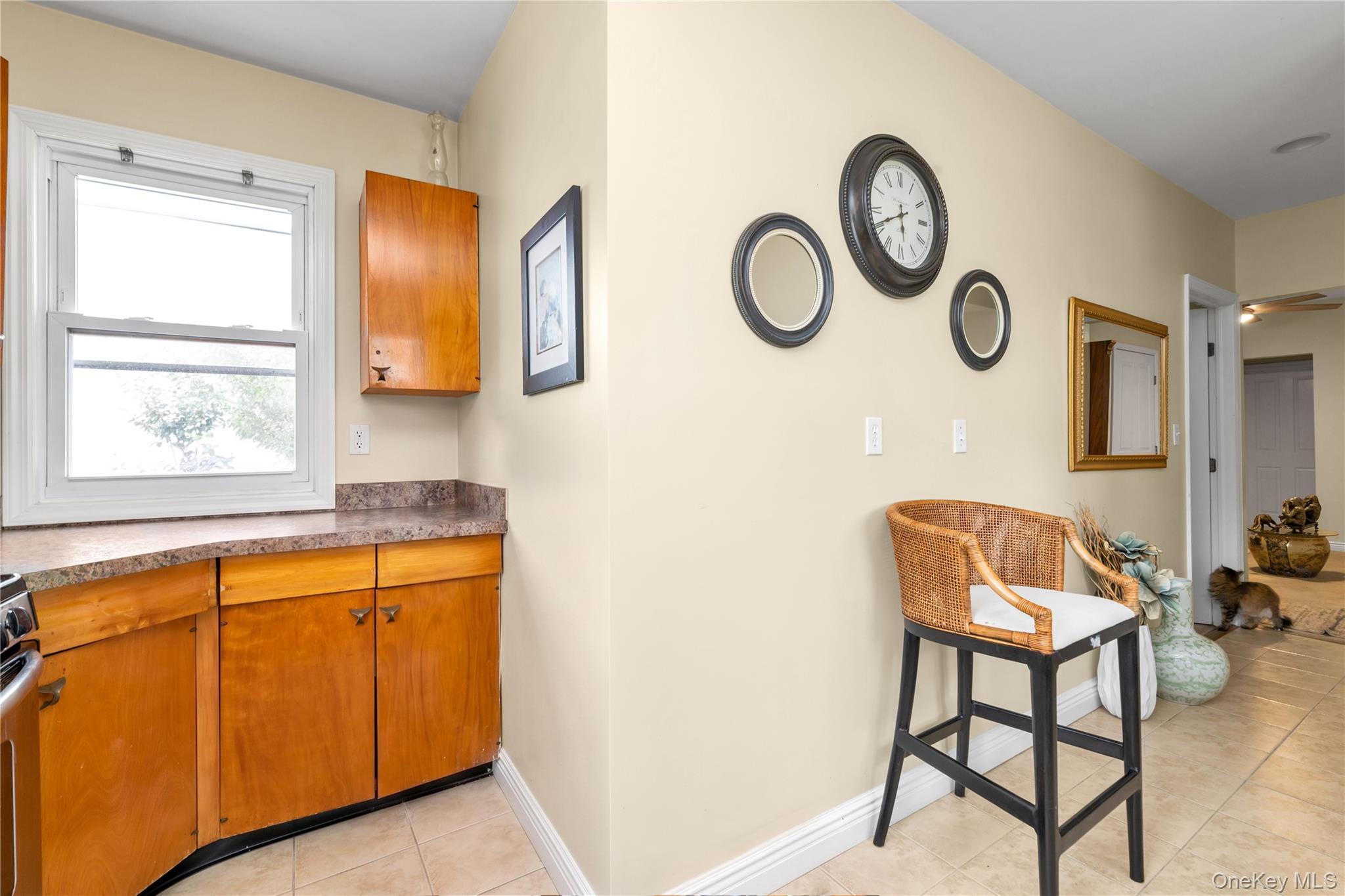 Single Family Liberty Avenue Nassau County, NY 11501, MLS-1041041-6