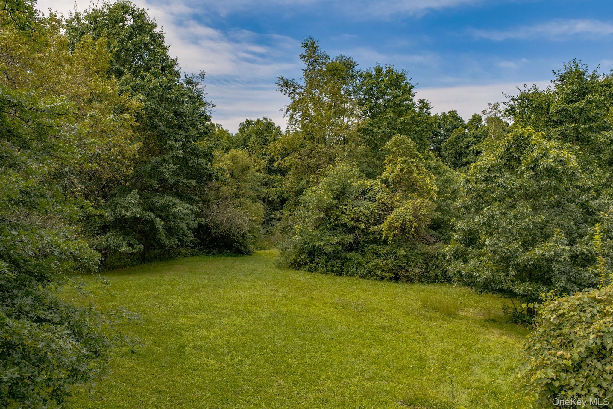Single Family Woods Road Orange County, NY 12771, MLS-1041097-4